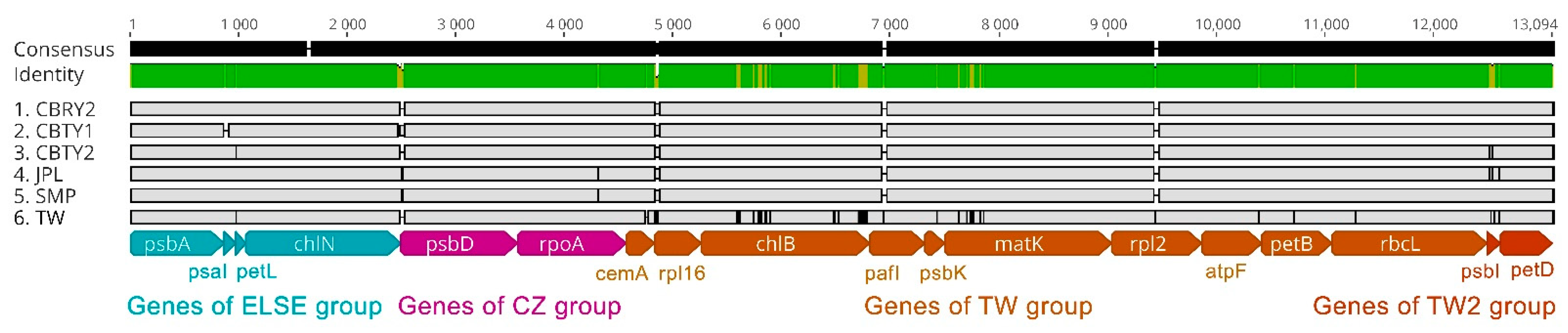 Genes 13 01963 g005 Genes 13 01963 g005