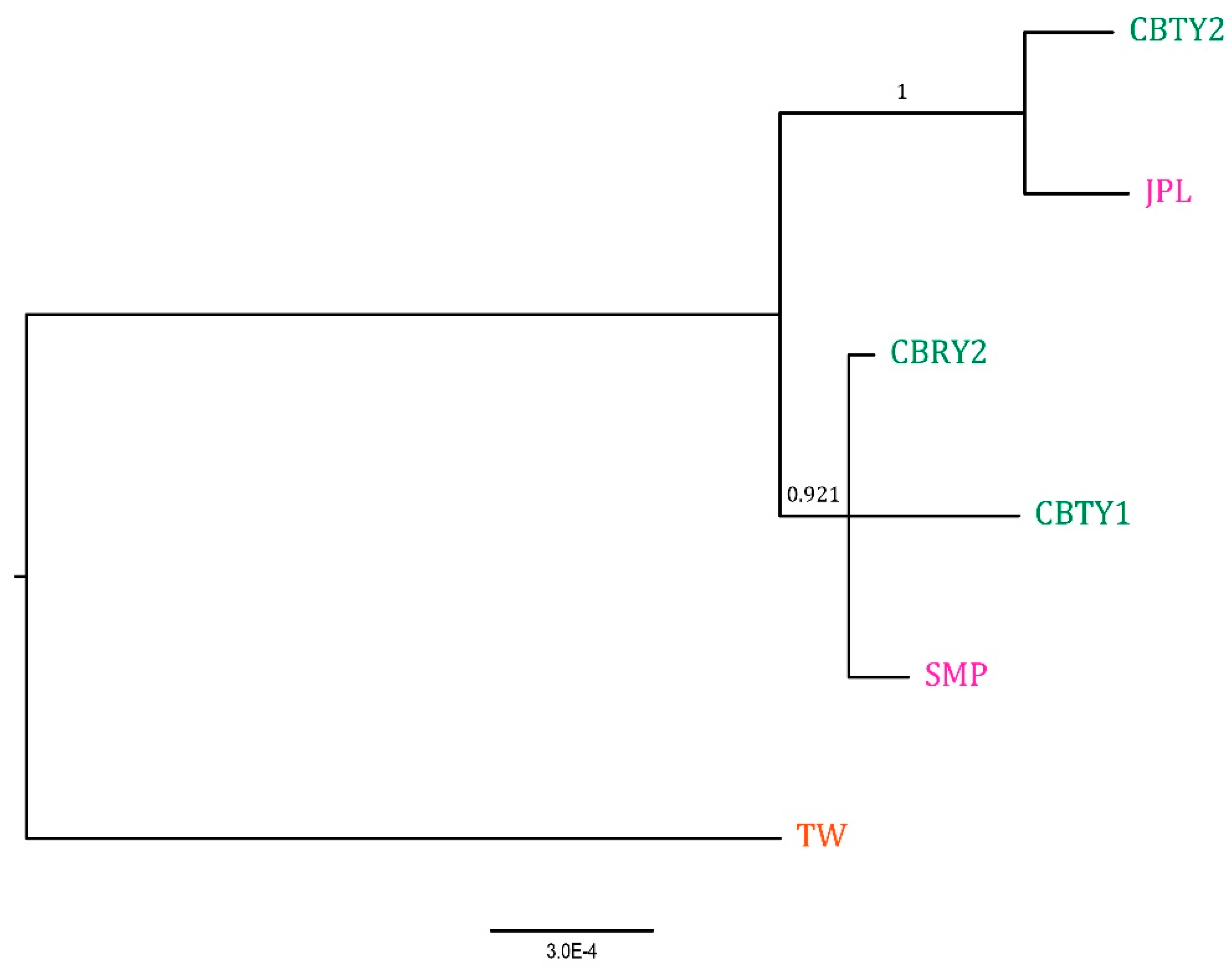 Genes 13 01963 g006 Genes 13 01963 g006