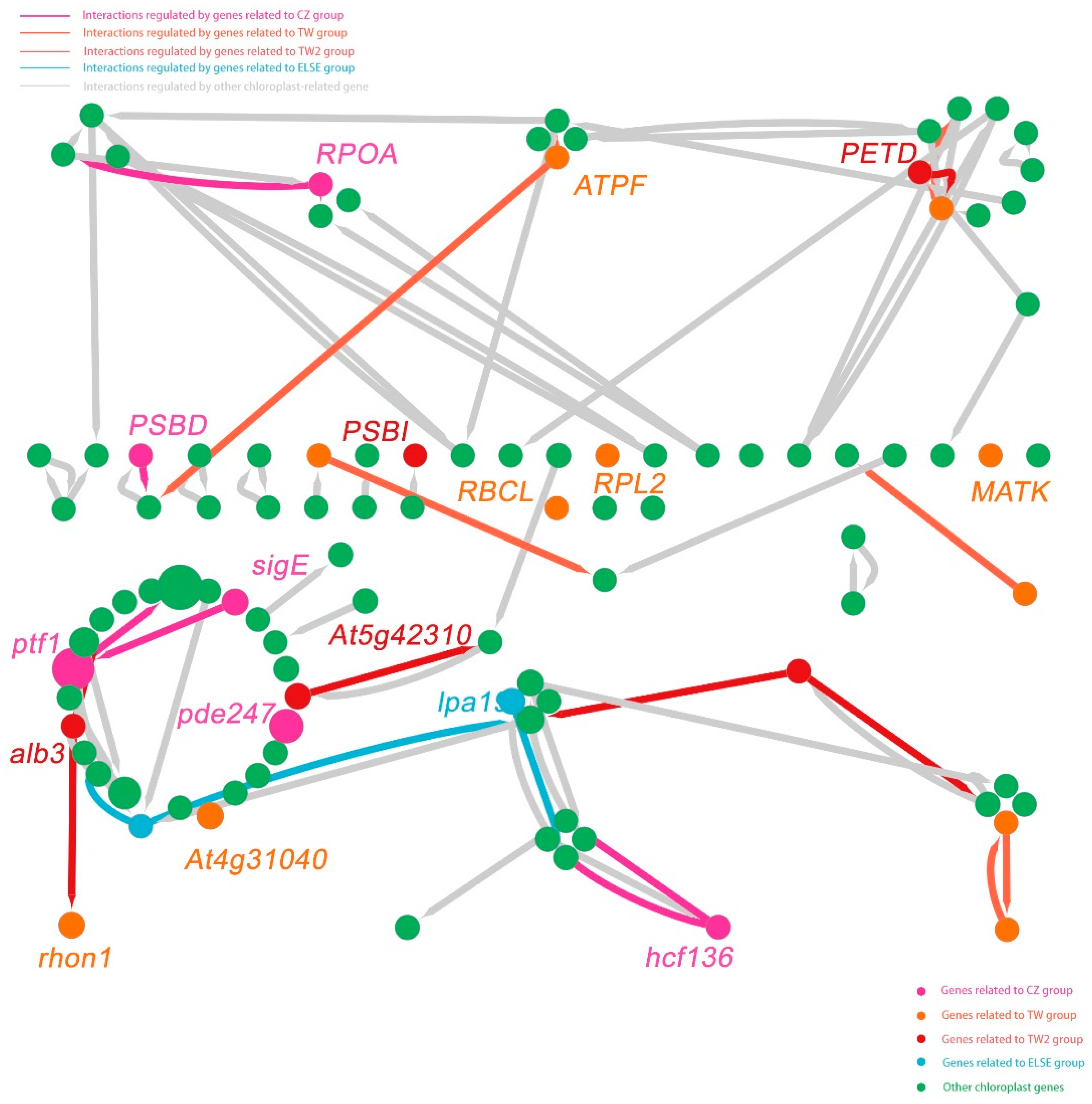Genes 13 01963 g009 Genes 13 01963 g009