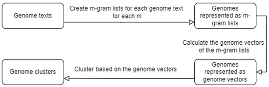 Genes | Free Full-Text | Membrane Clustering of Coronavirus Variants ...