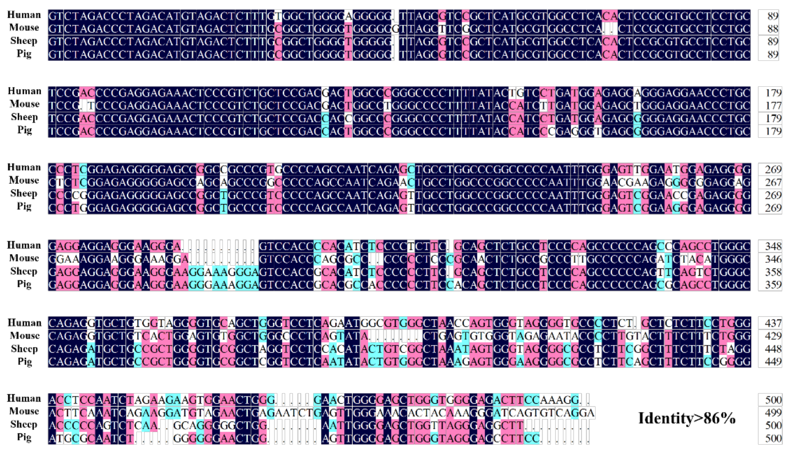 Genes 13 01971 g002 Genes 13 01971 g002
