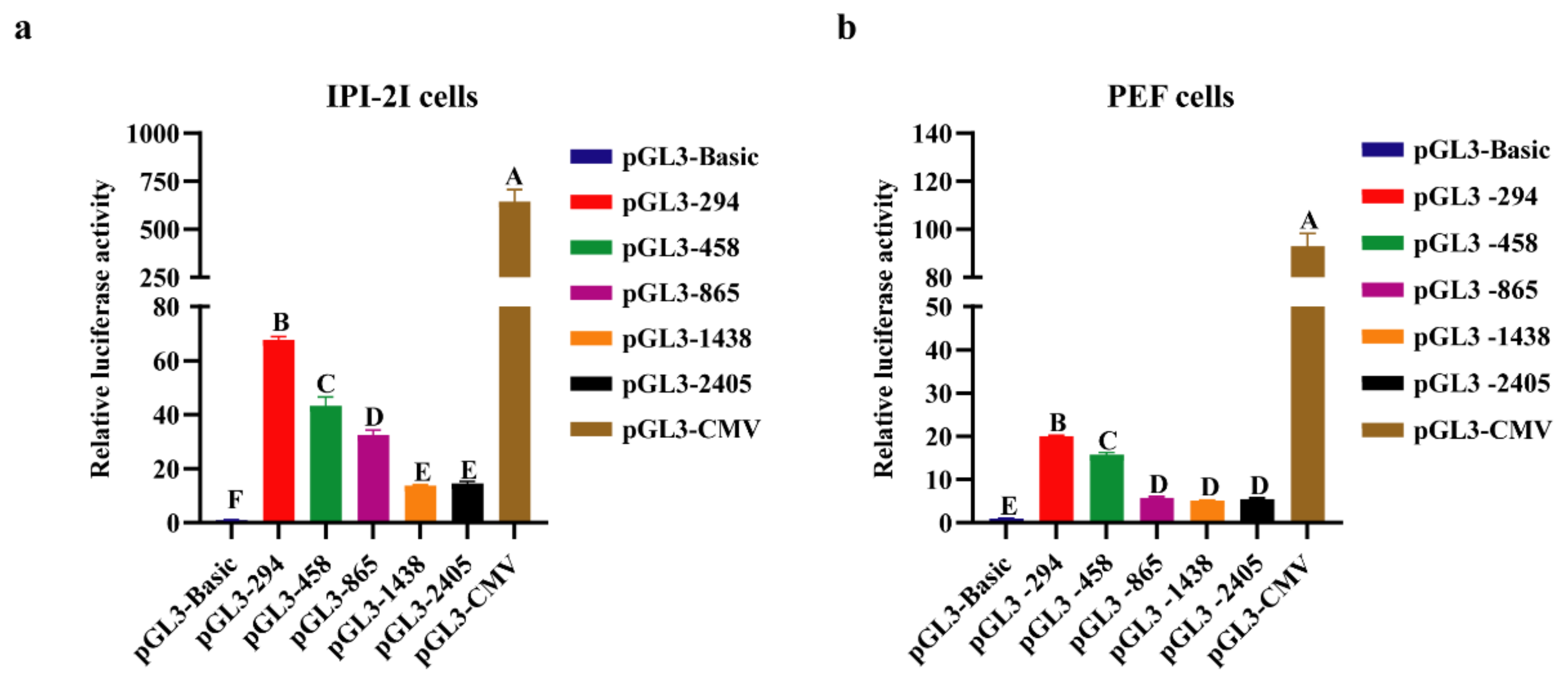 Genes 13 01971 g004 Genes 13 01971 g004