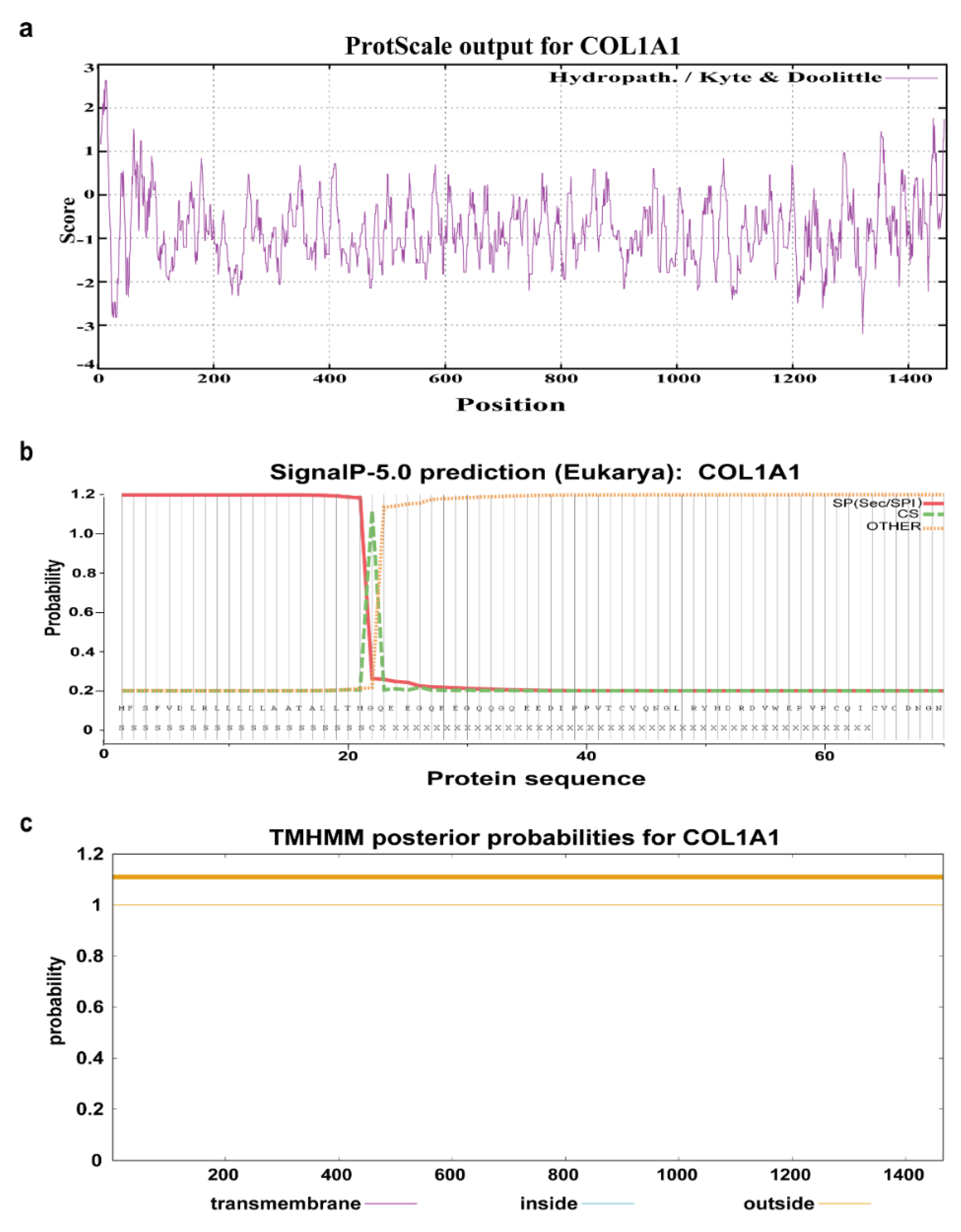 Genes 13 01971 g005 Genes 13 01971 g005