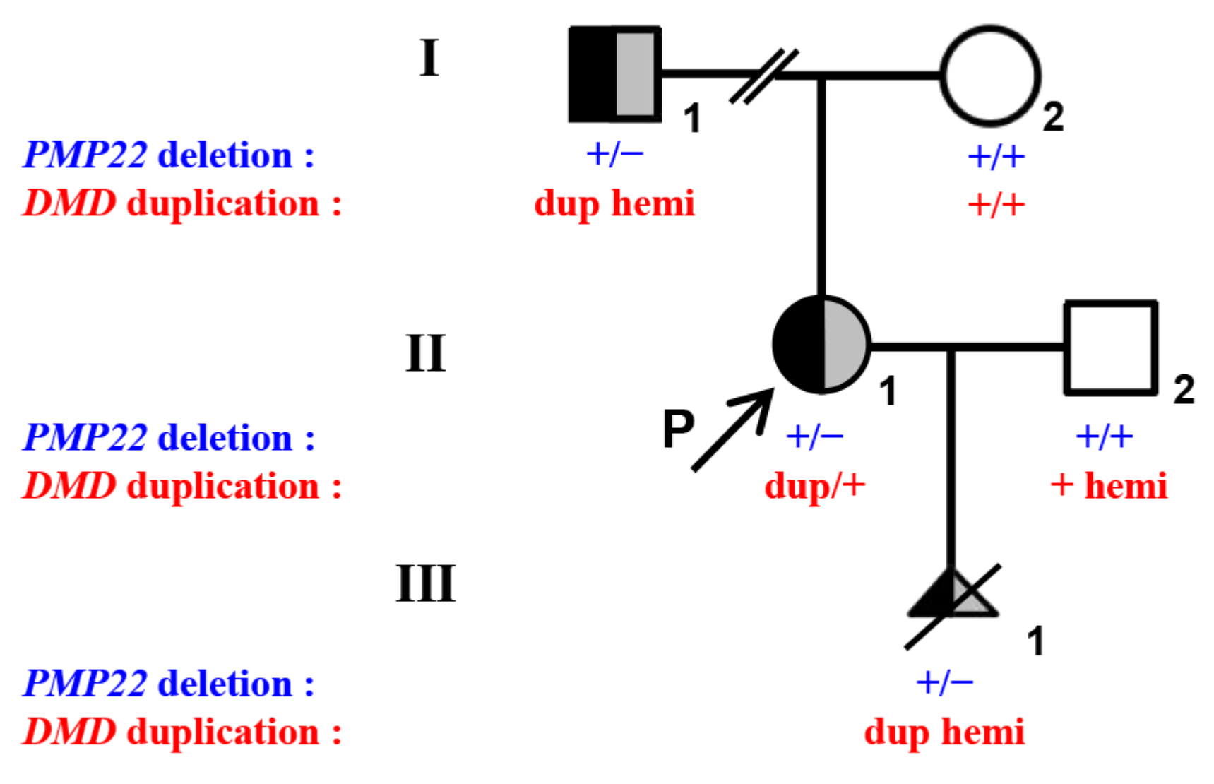 Genes 13 01972 g001 Genes 13 01972 g001