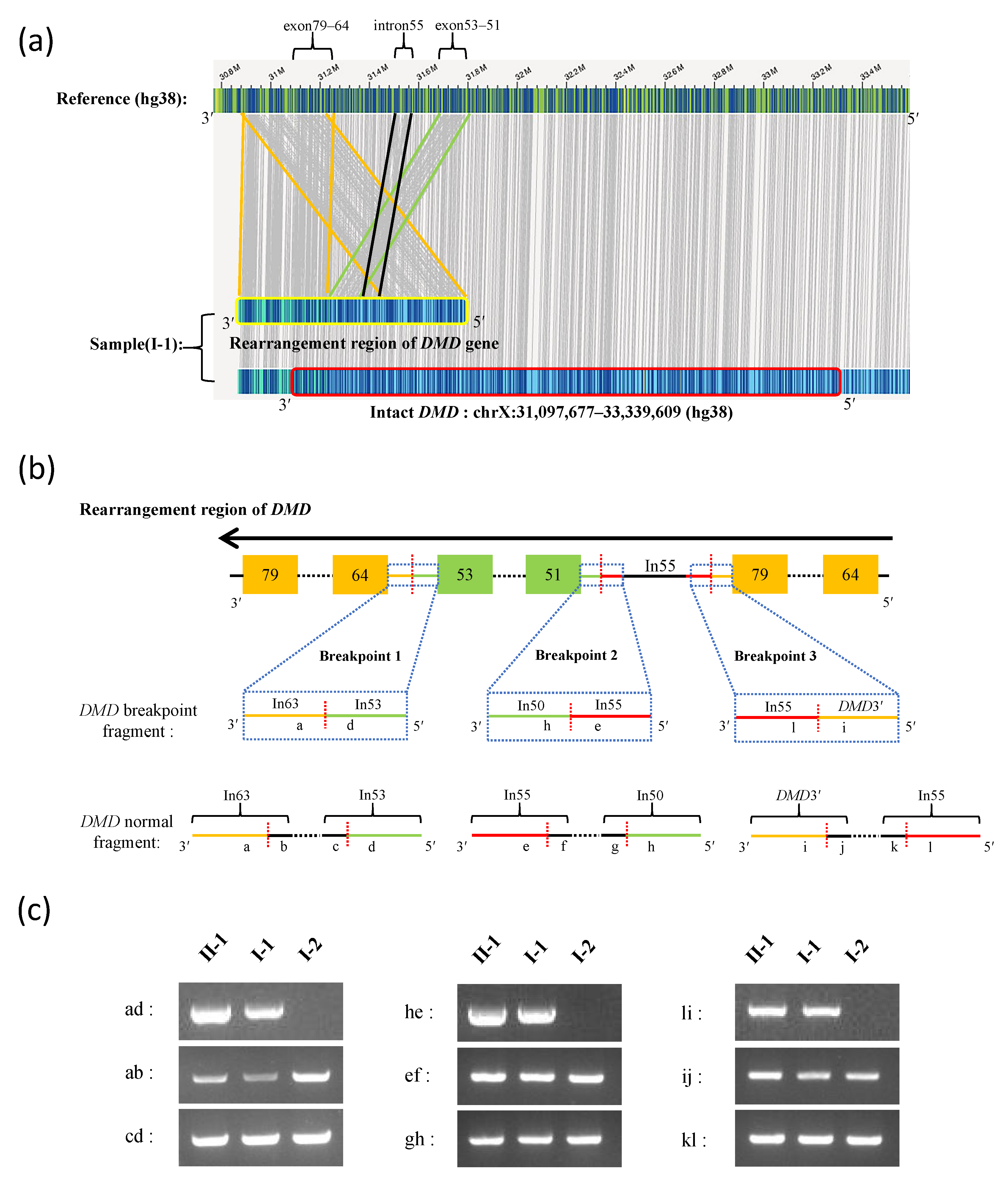 Genes 13 01972 g002 Genes 13 01972 g002