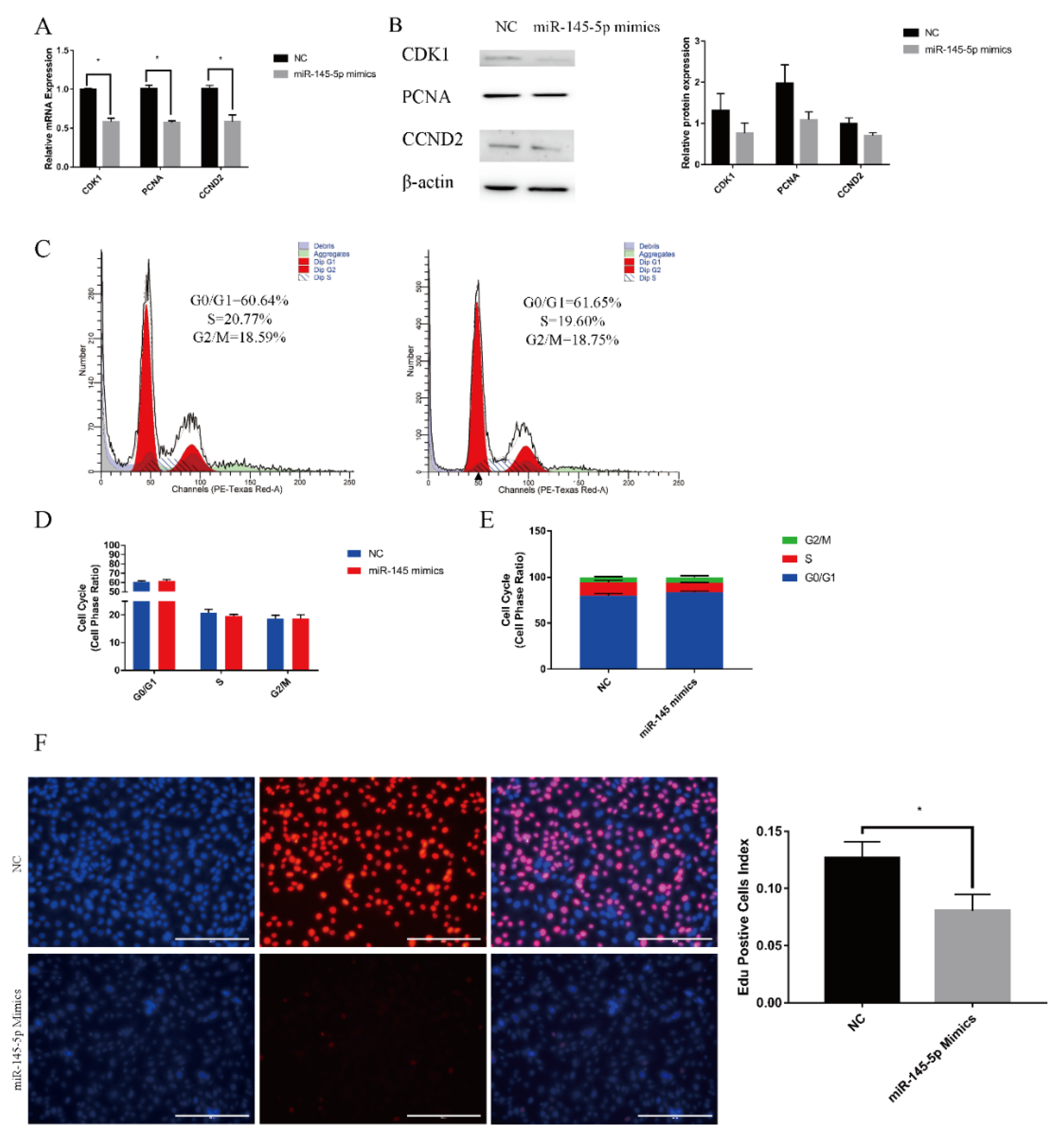 Genes 13 01973 g001 Genes 13 01973 g001