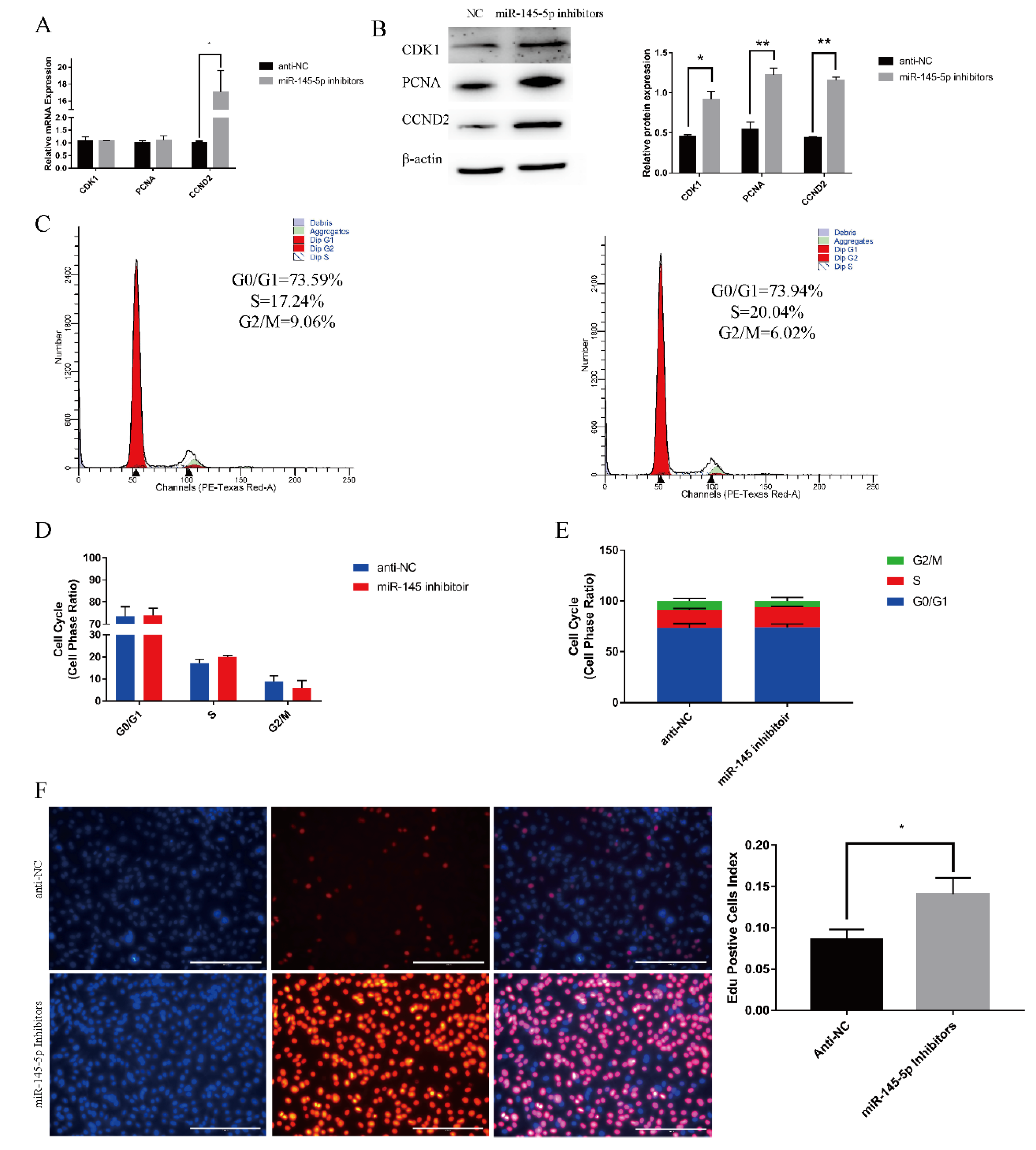 Genes 13 01973 g002 Genes 13 01973 g002