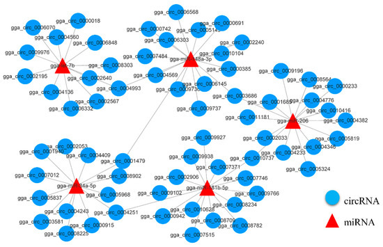 CircRNAs Related to Breast Muscle Development and Their Interaction ...