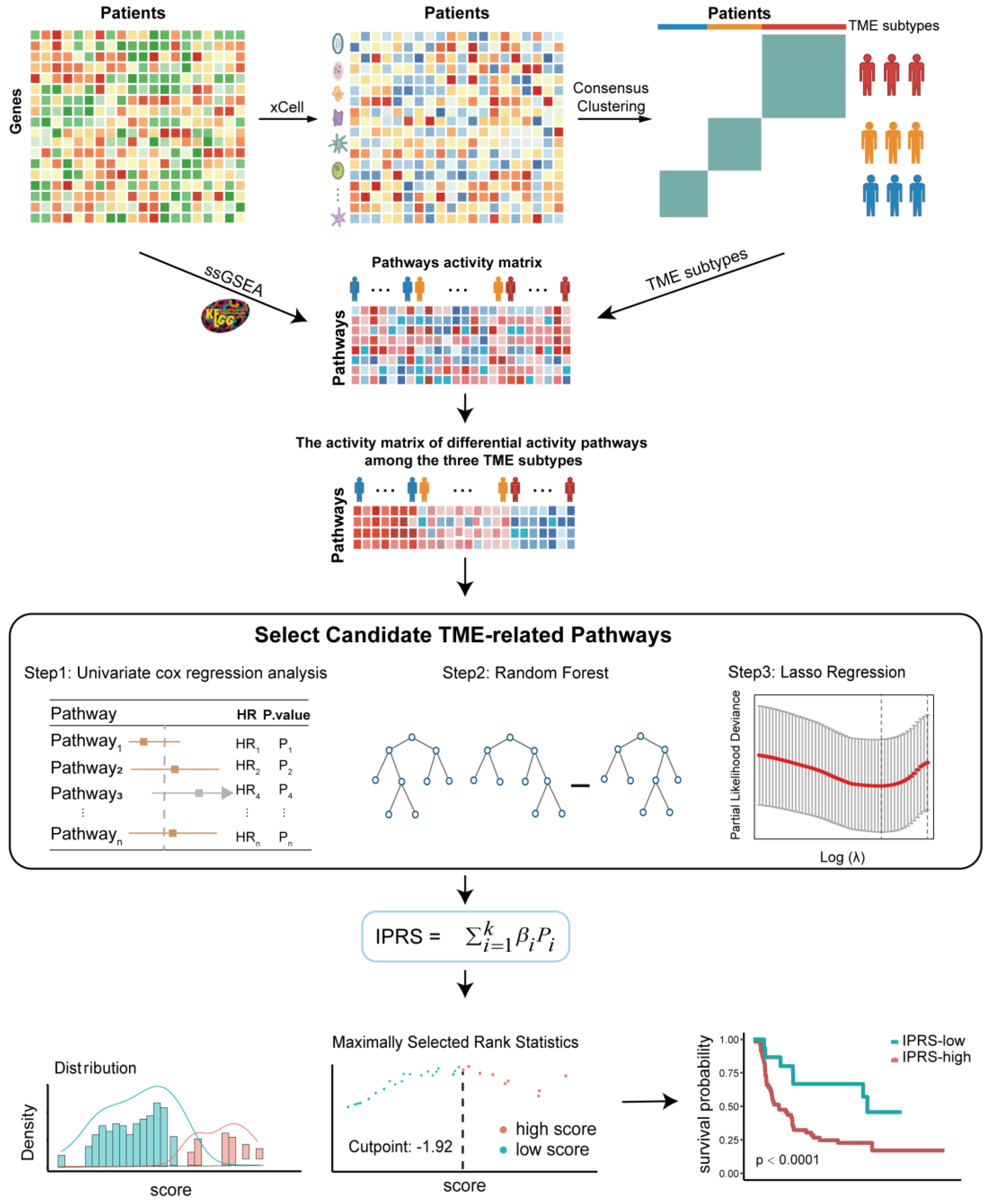 Genes 13 01976 g001
