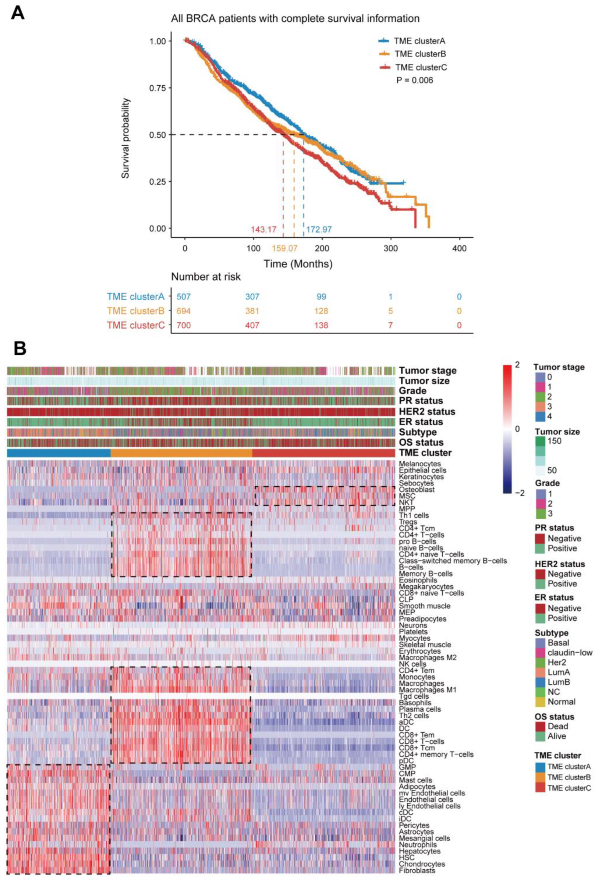 Genes 13 01976 g002
