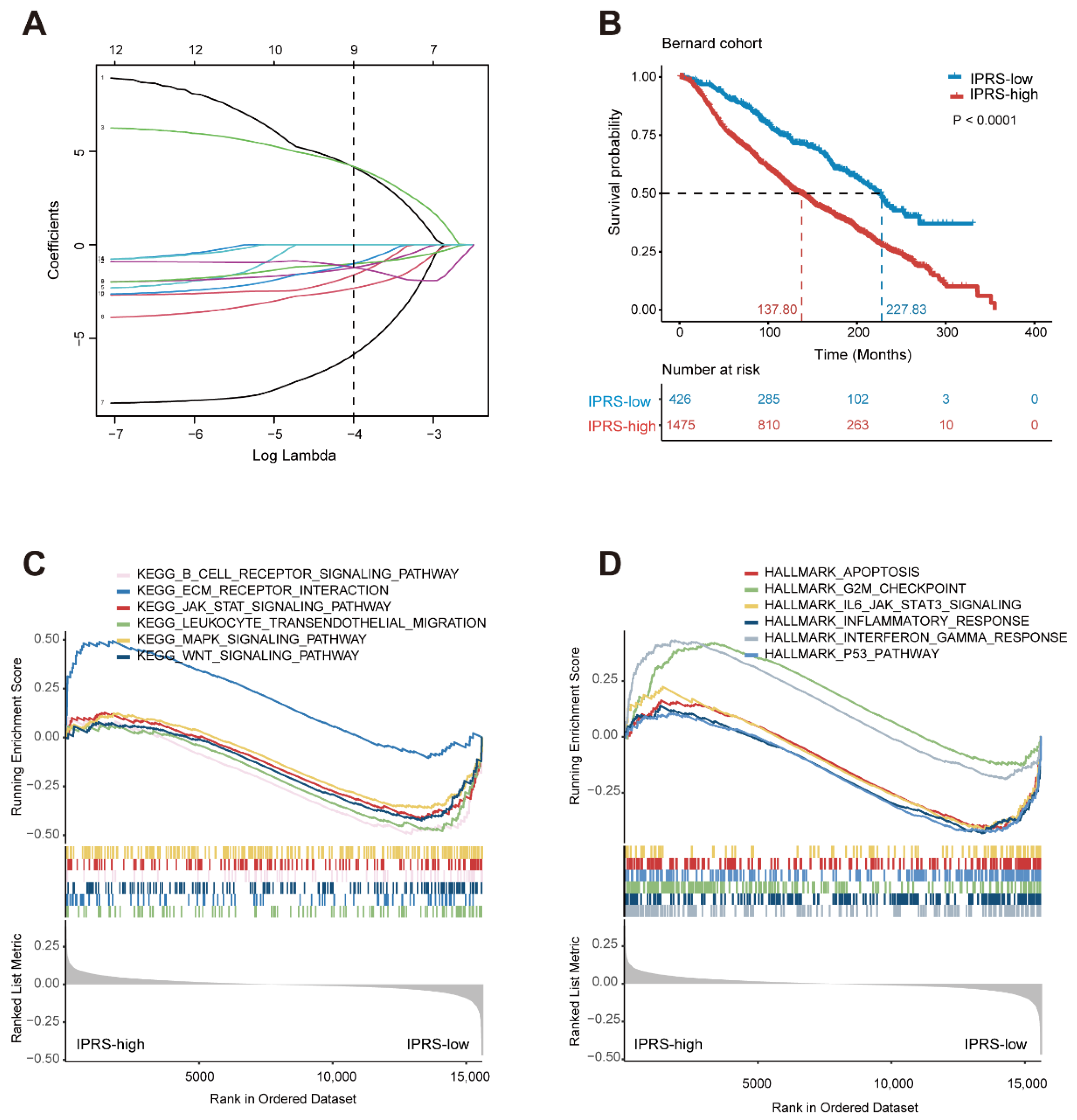 Genes 13 01976 g004