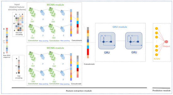 DeepNup: Prediction of Nucleosome Positioning from DNA Sequences Using ...