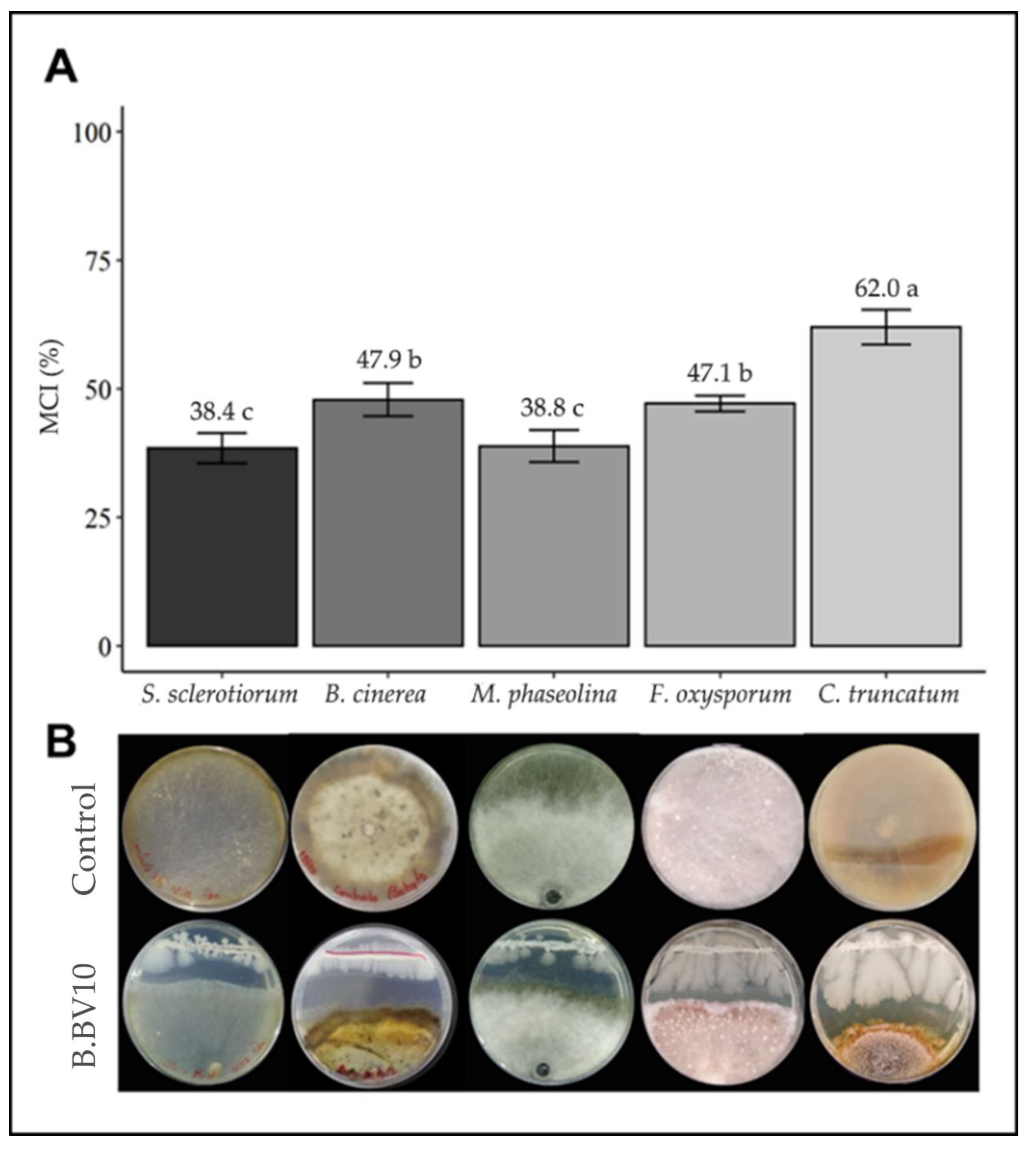 Genes 13 01984 g002