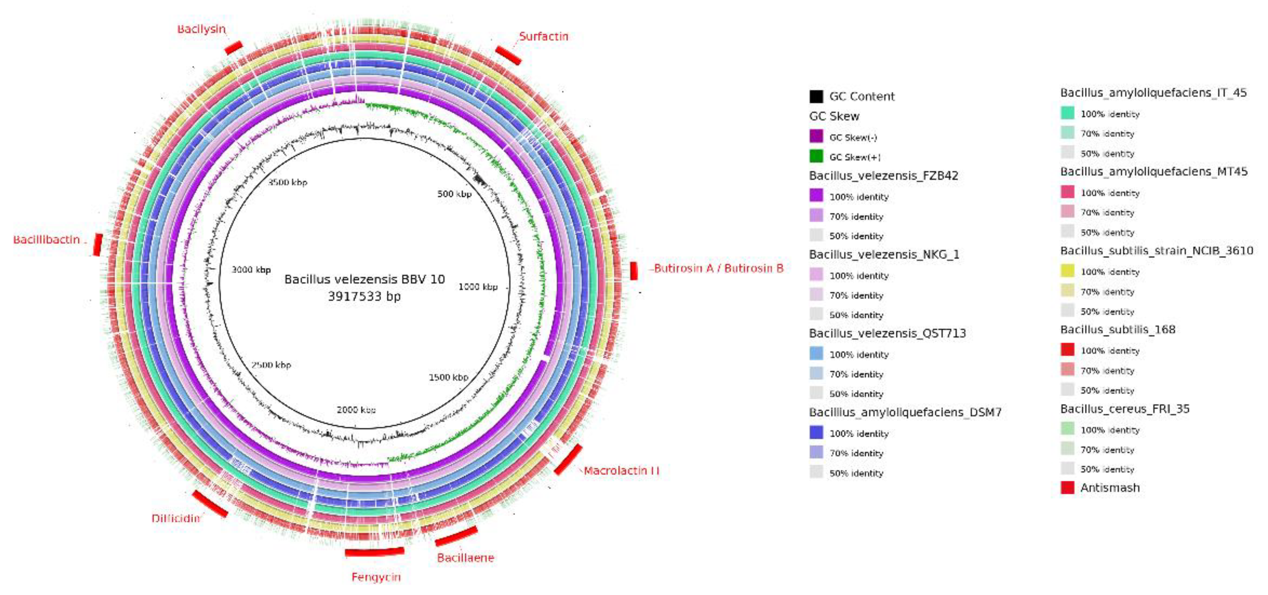 Genes 13 01984 g008