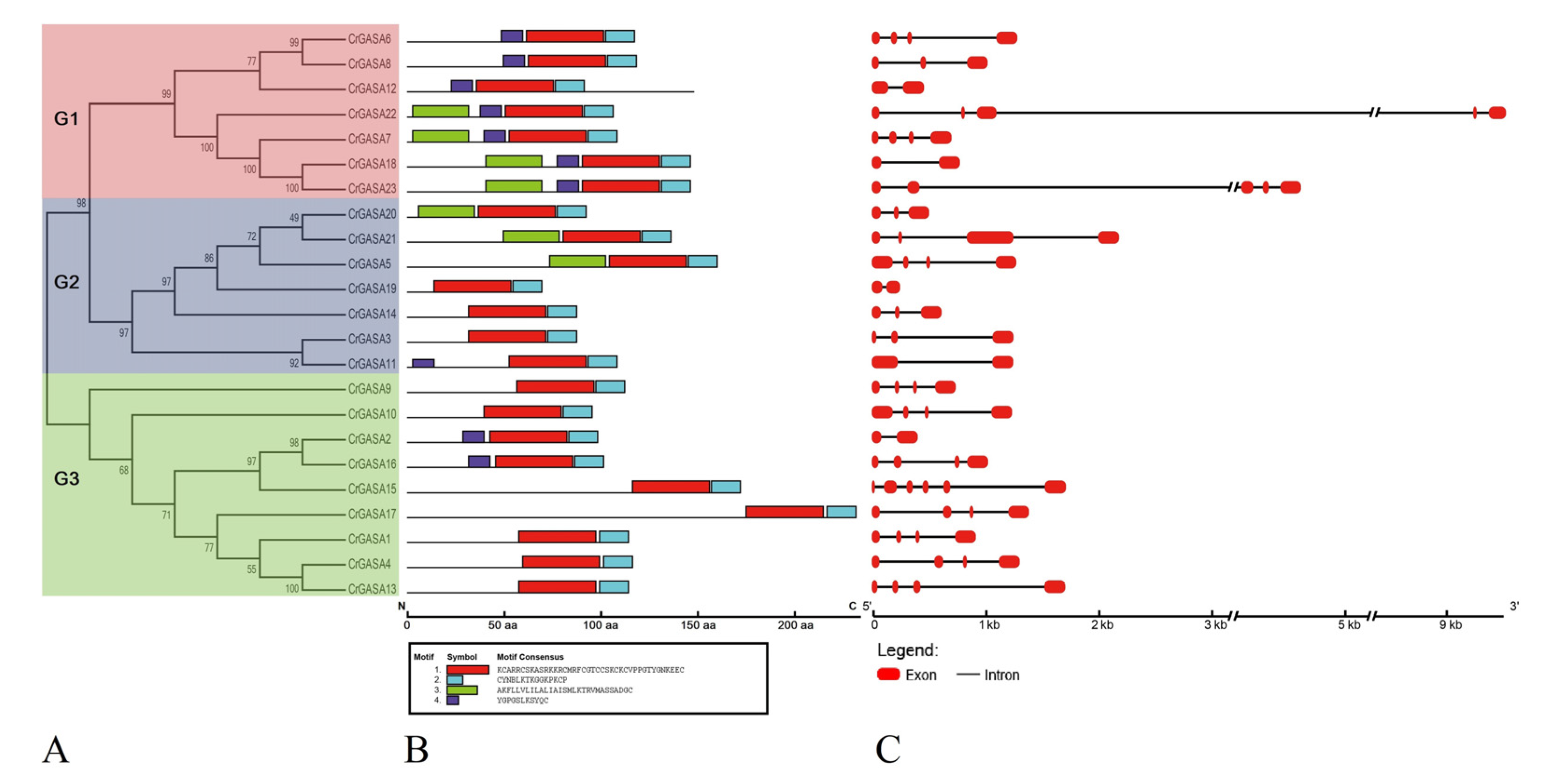 Genes 13 01988 g004