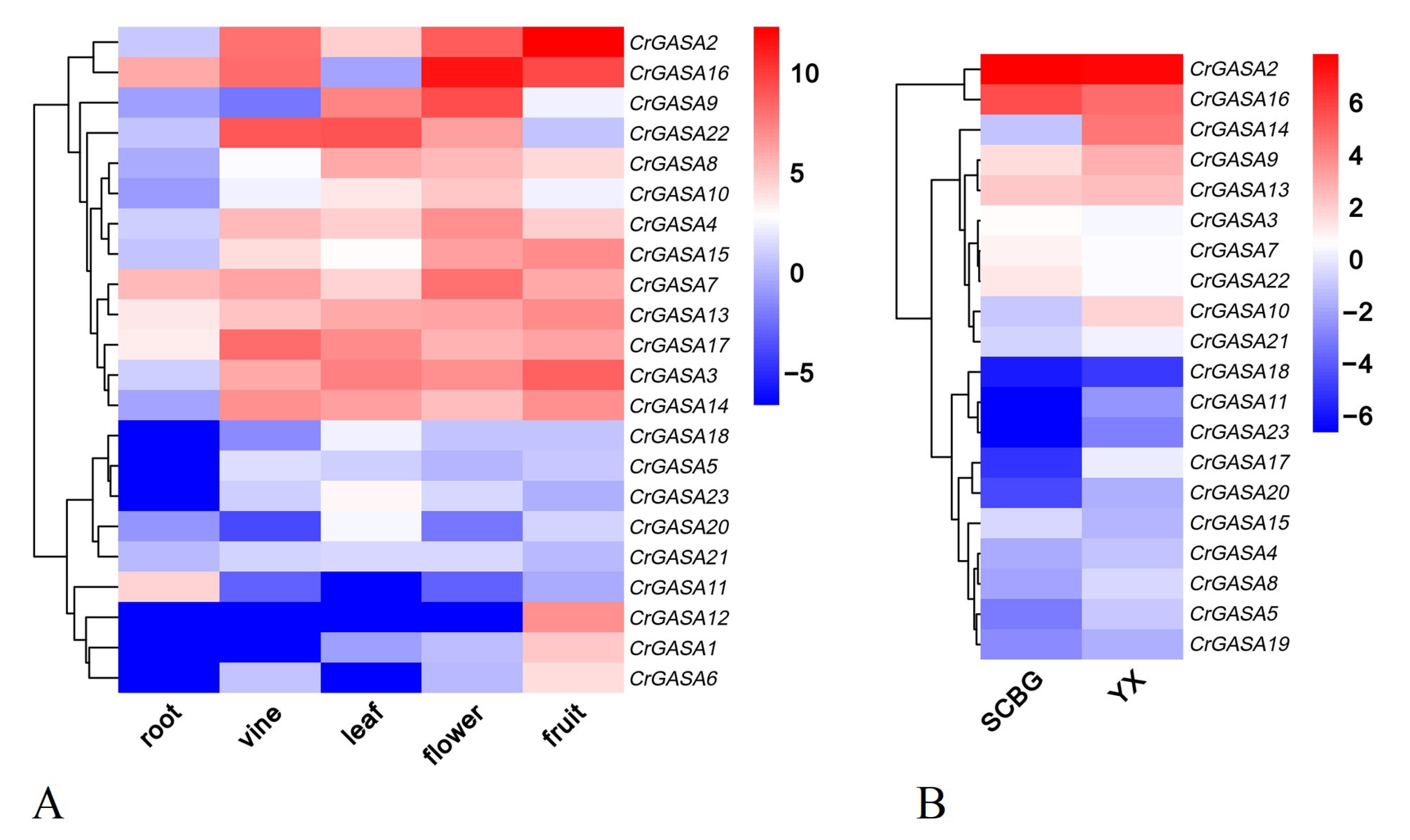 Genes 13 01988 g006
