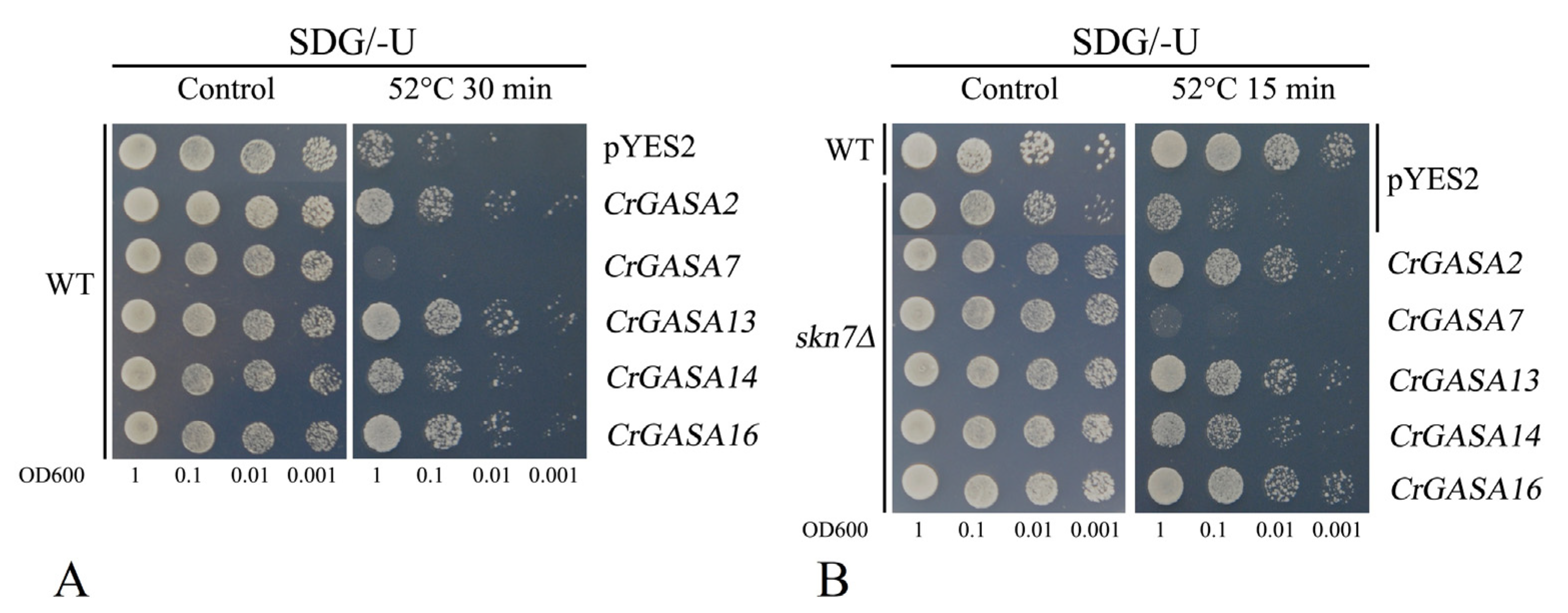 Genes 13 01988 g012