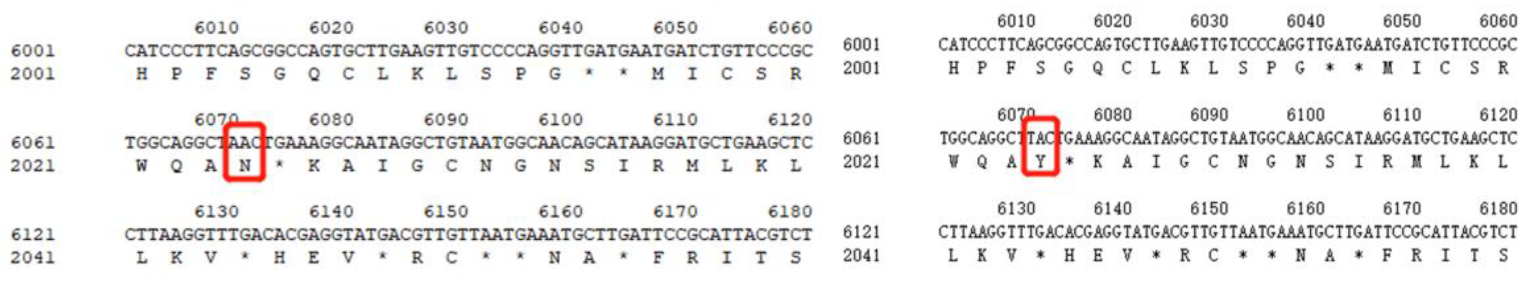 Genes 13 01992 g006