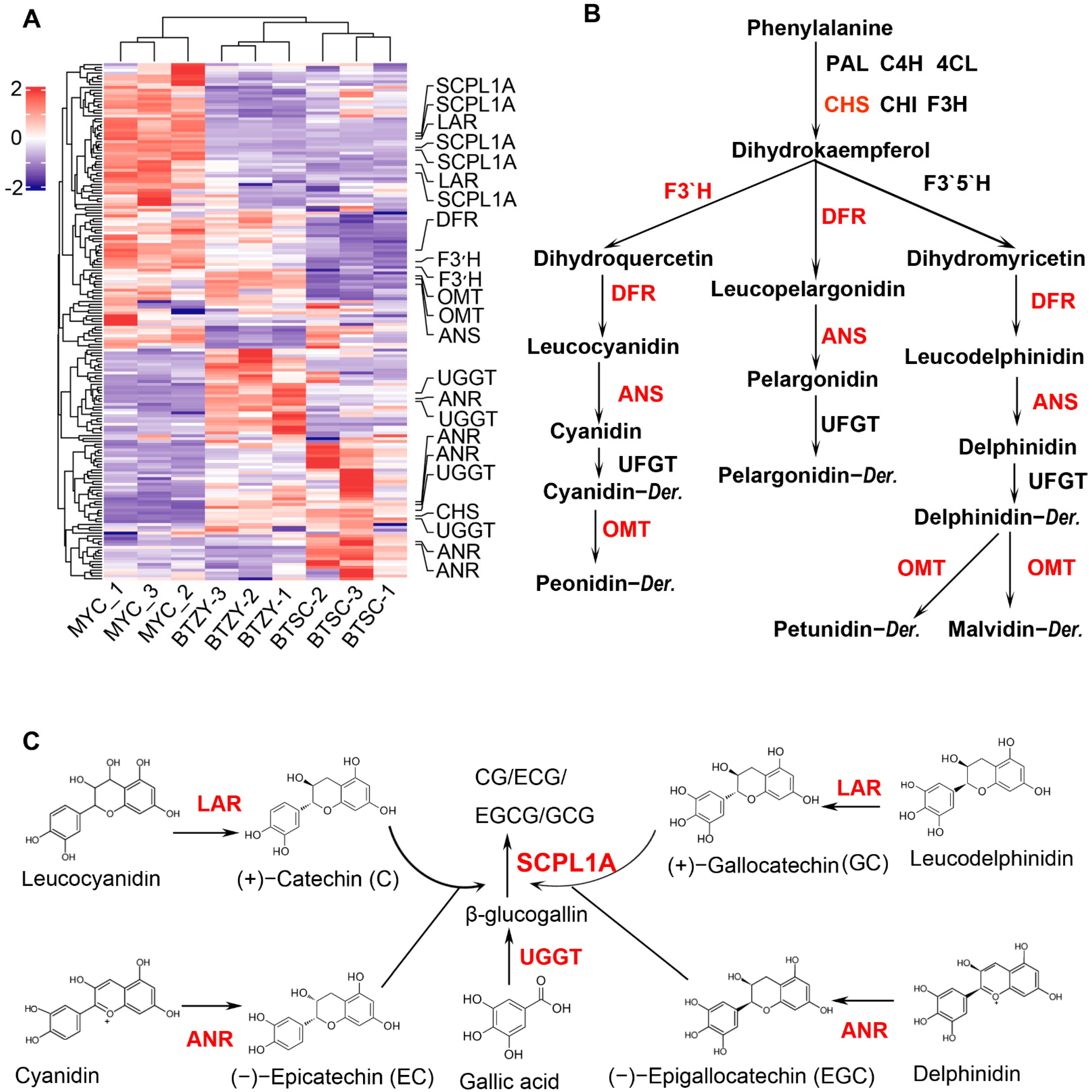 Genes 13 01994 g005