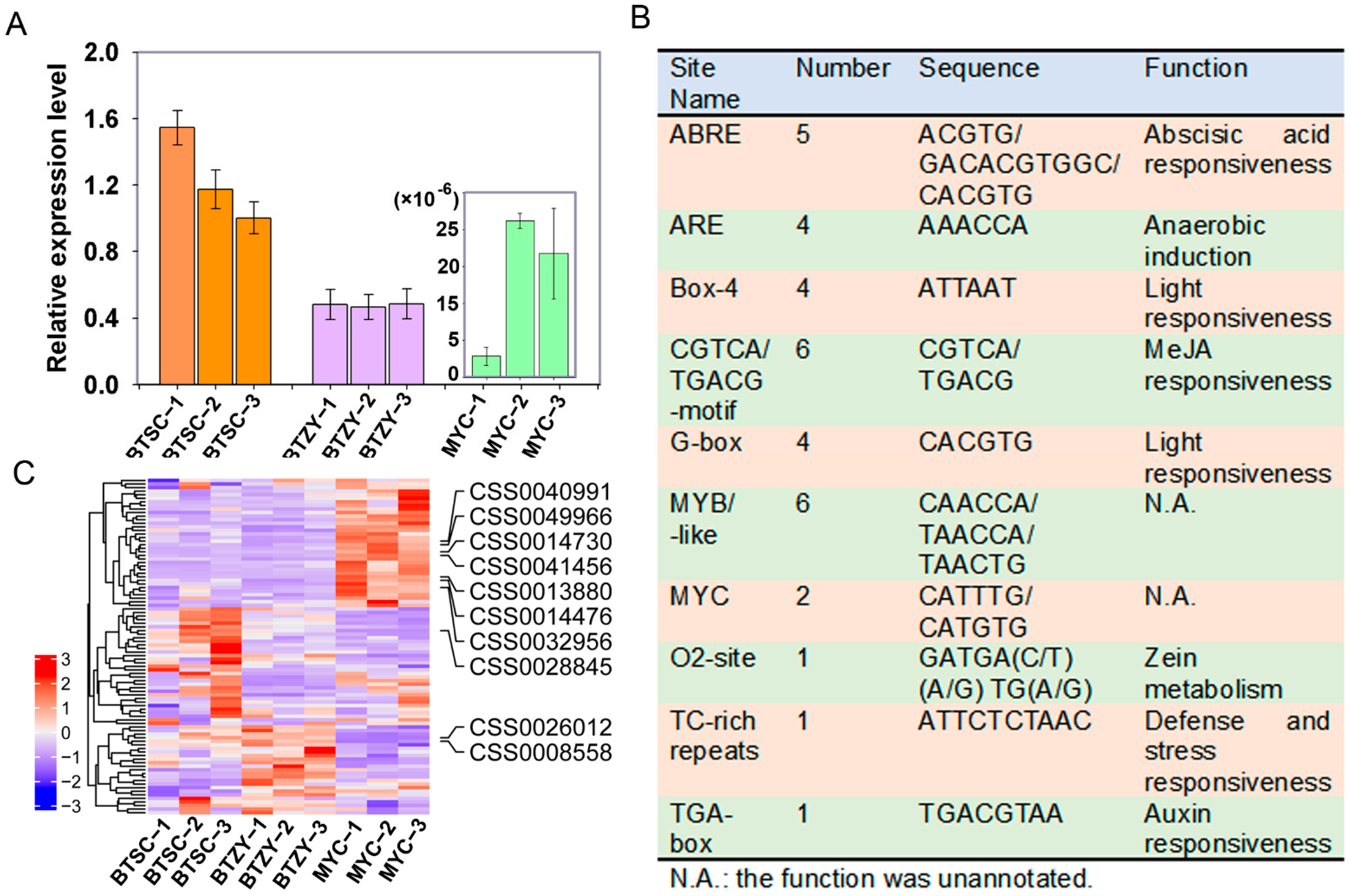 Genes 13 01994 g006