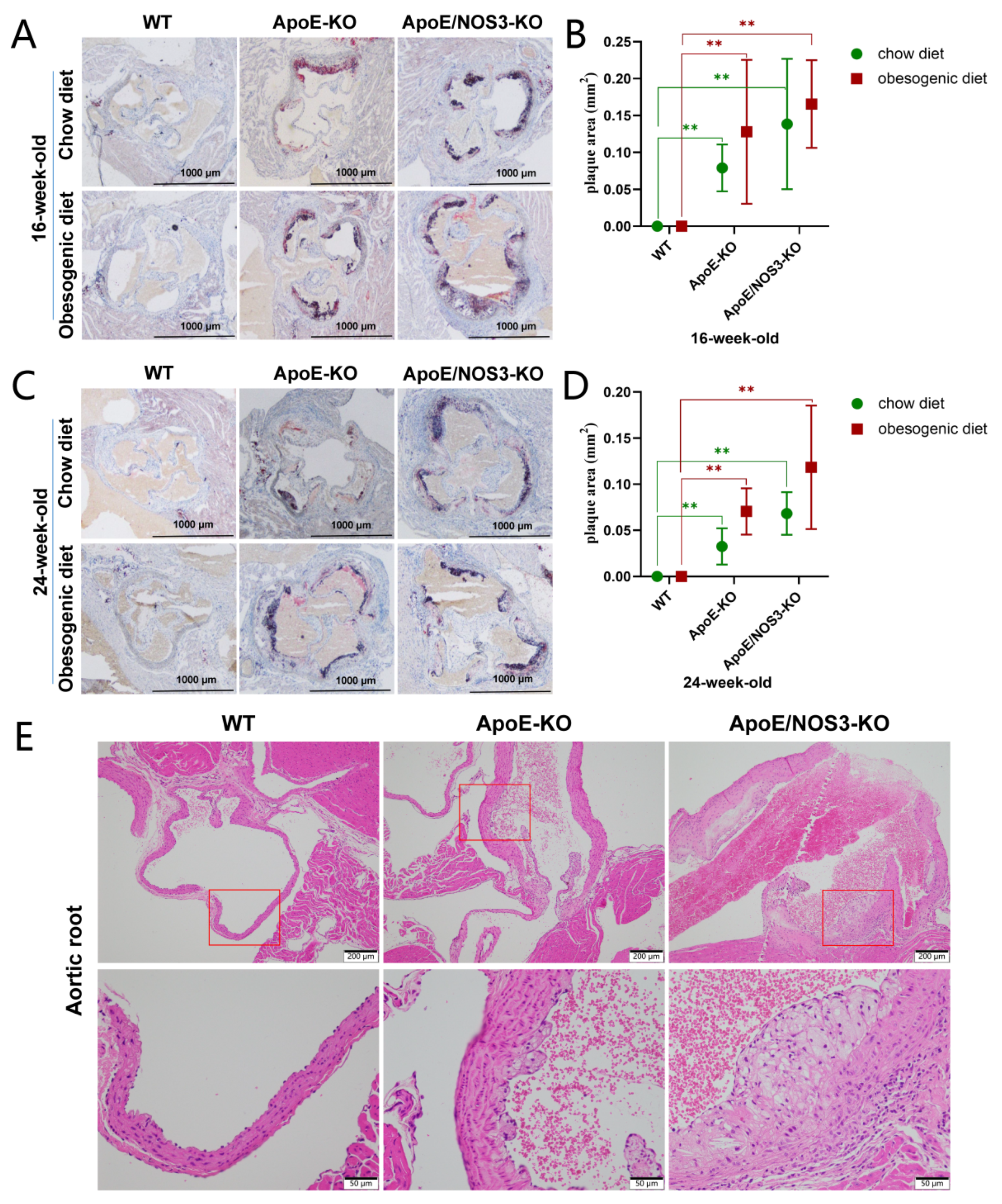 Genes 13 01998 g003 Genes 13 01998 g003