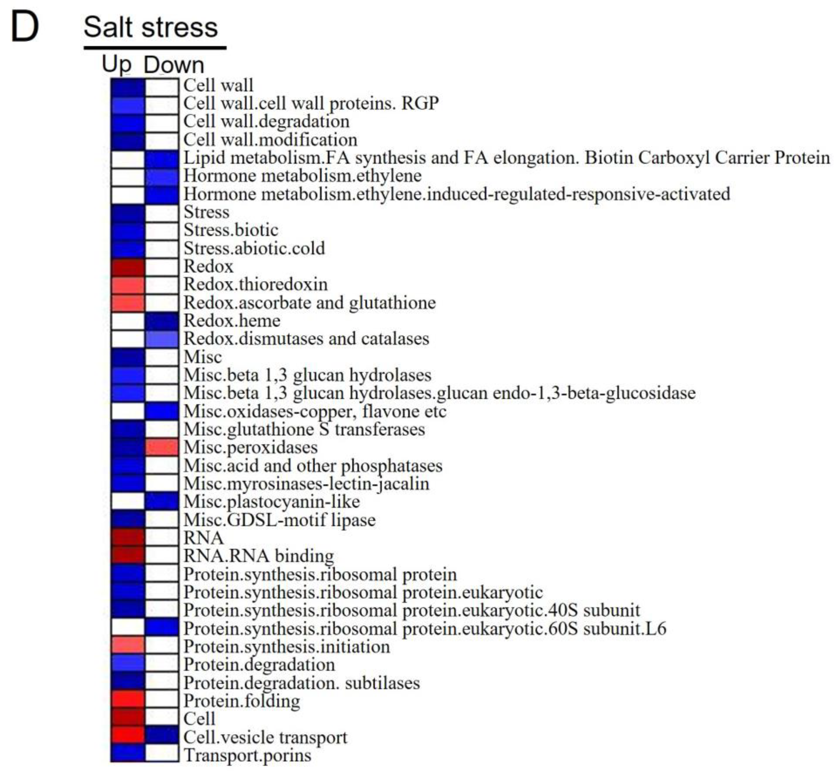 Genes 13 02004 g002b Genes 13 02004 g002b
