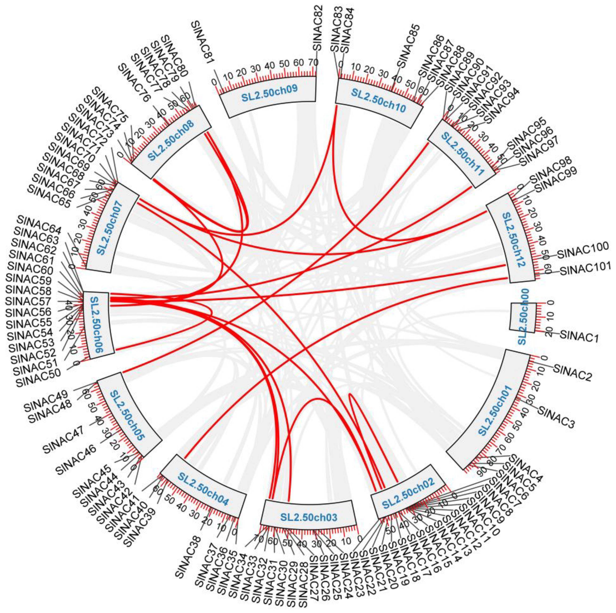 Genes 13 02015 g003