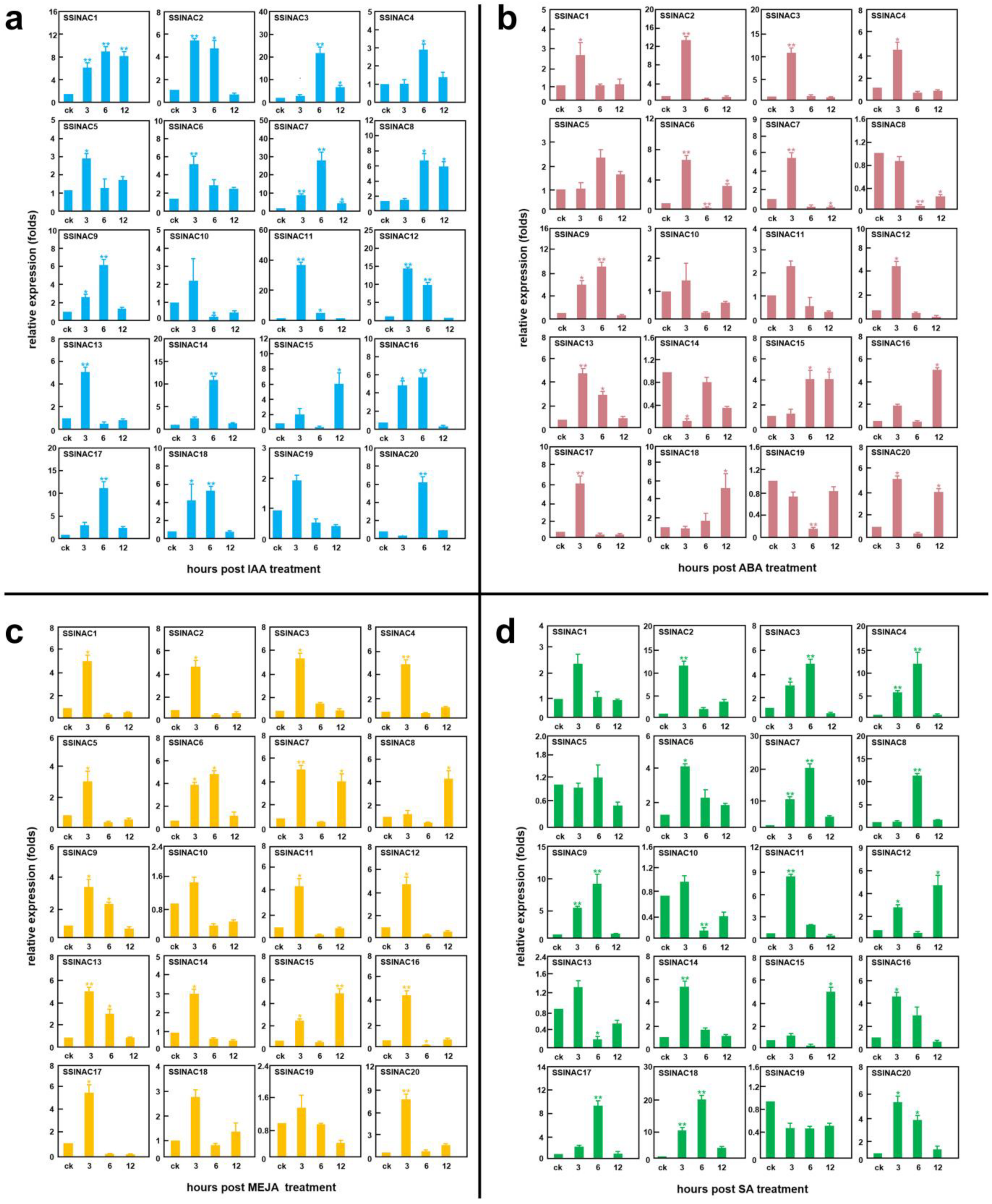 Genes 13 02015 g007