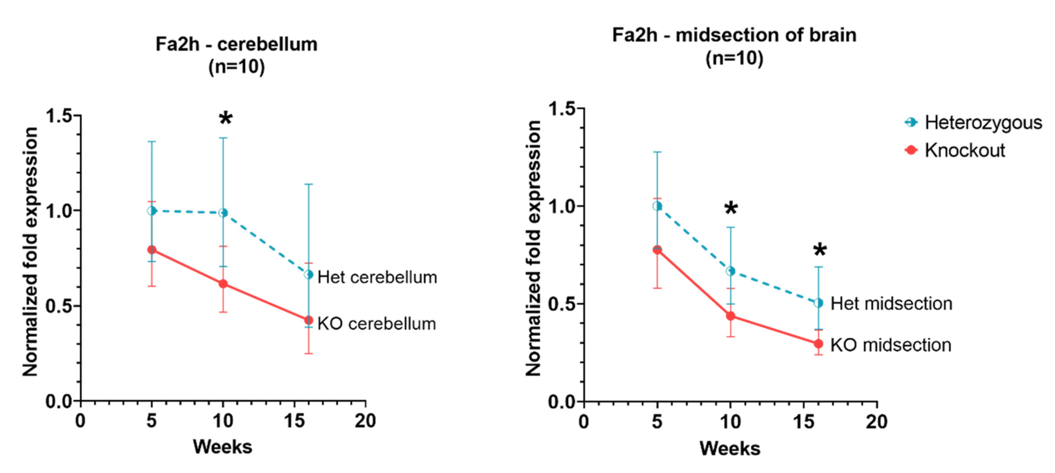 Genes 13 02020 g007 Genes 13 02020 g007