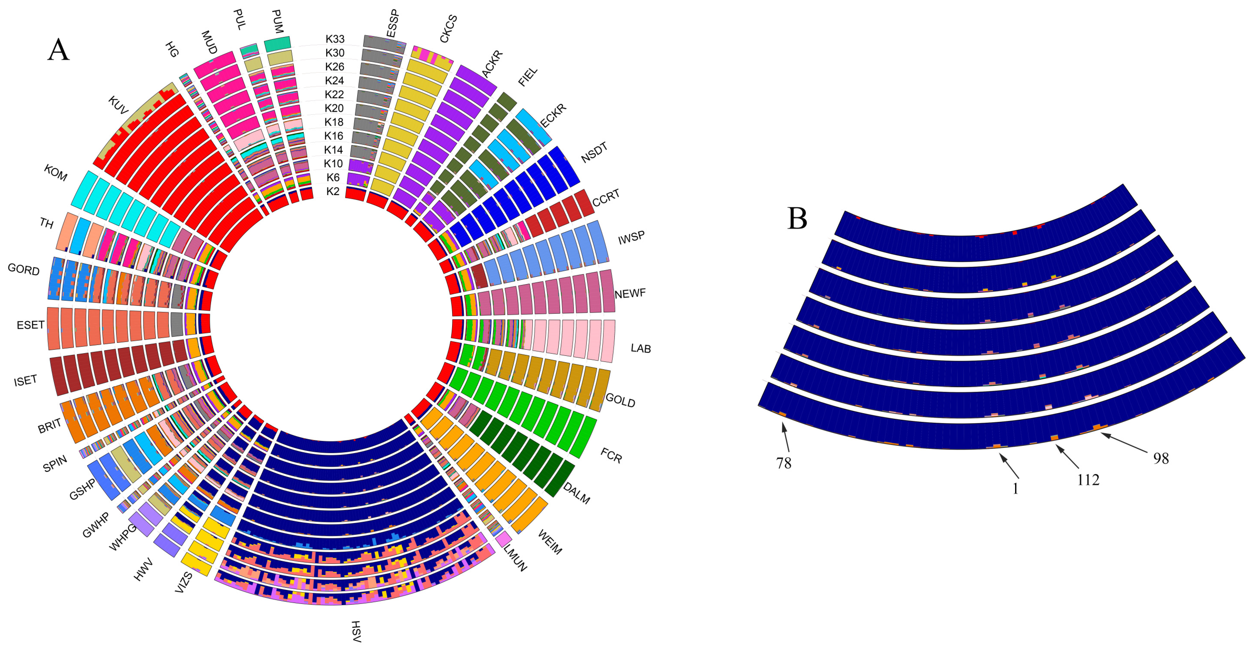 Genes 13 02022 g001 Genes 13 02022 g001