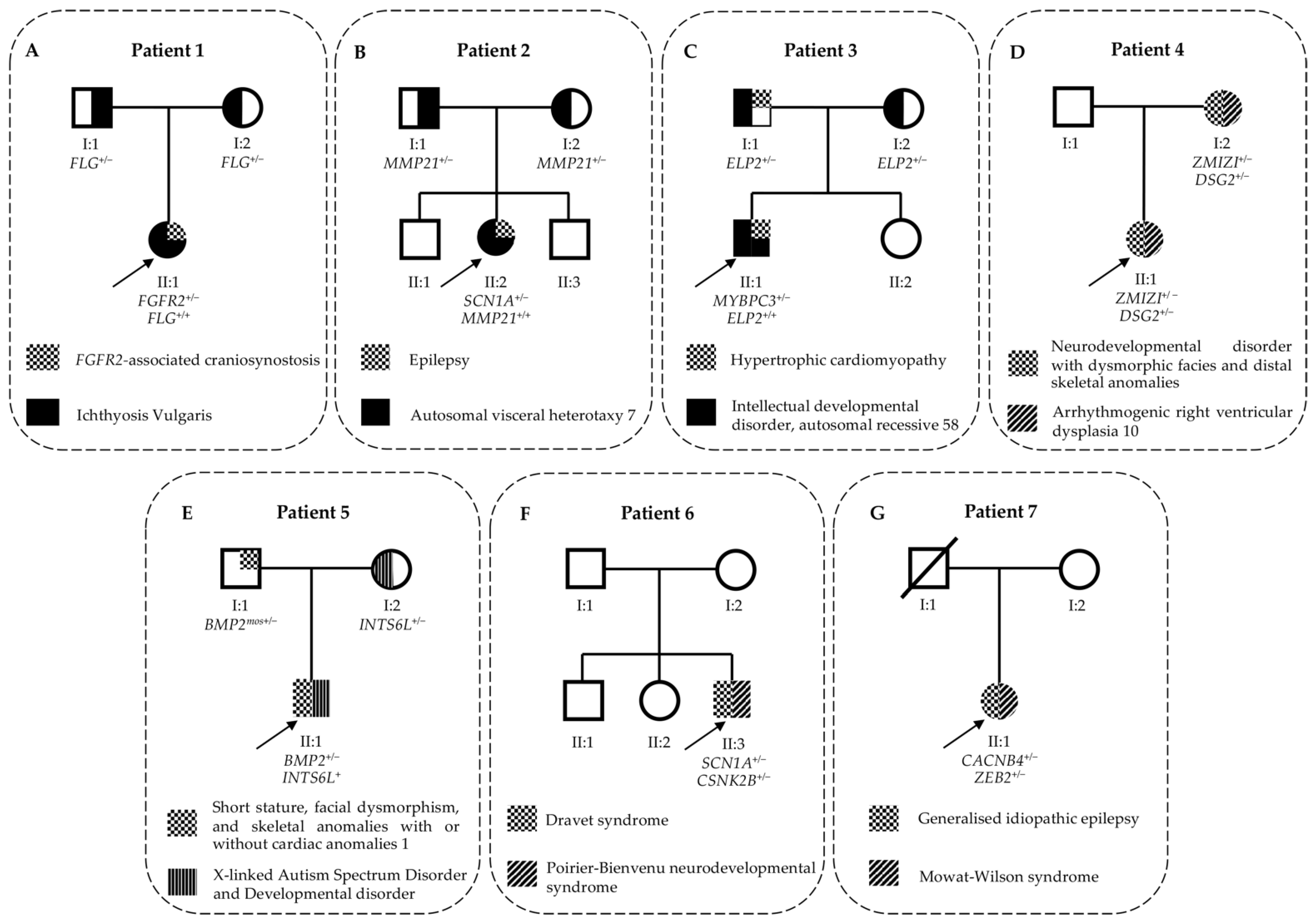 Challenging Occam's Razor: Dual Molecular Diagnoses Explain