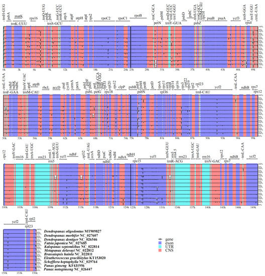 Complete Chloroplast Genome Sequence of the Endemic and Endangered ...