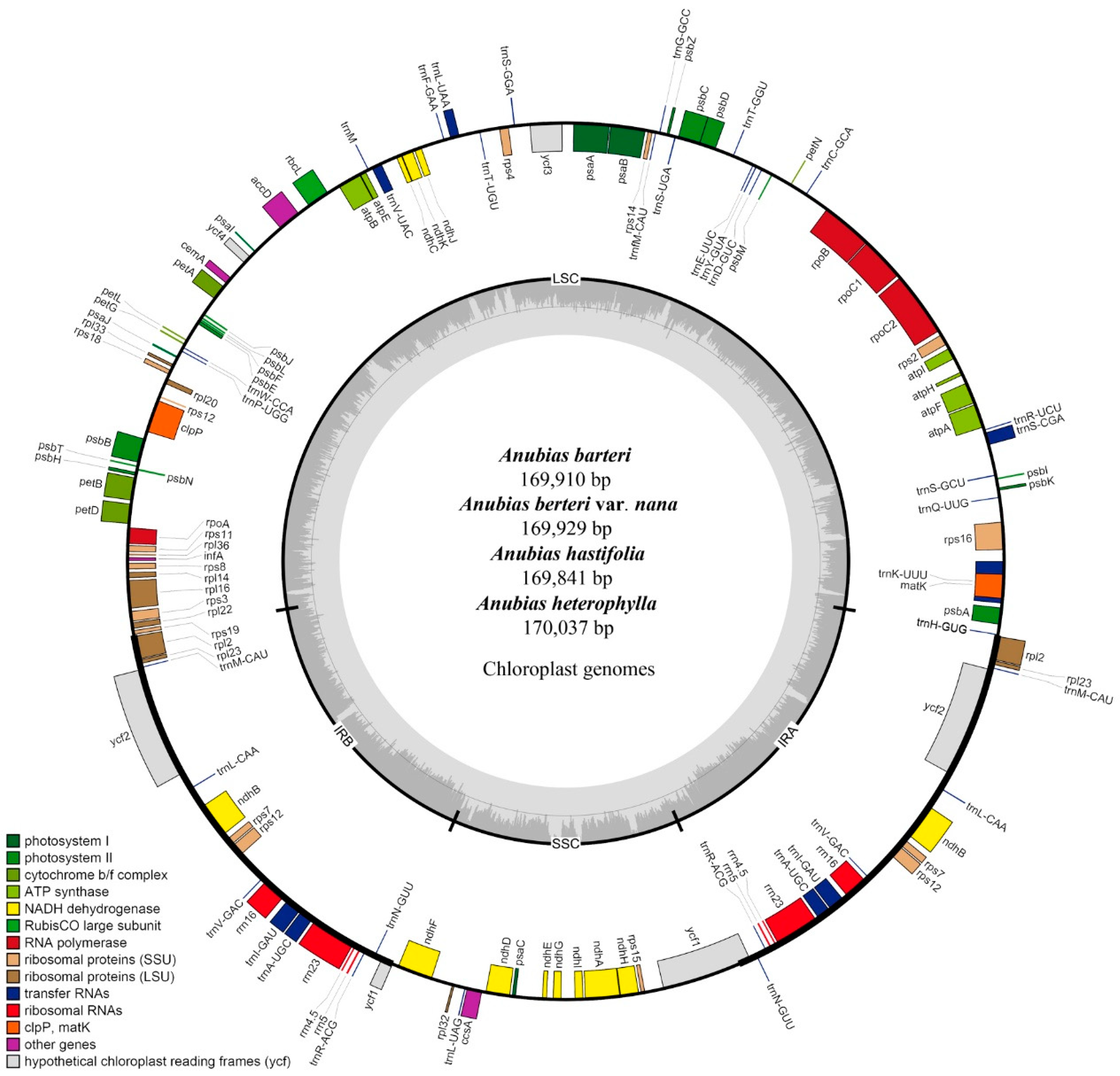 Genes 13 02043 g001 Genes 13 02043 g001