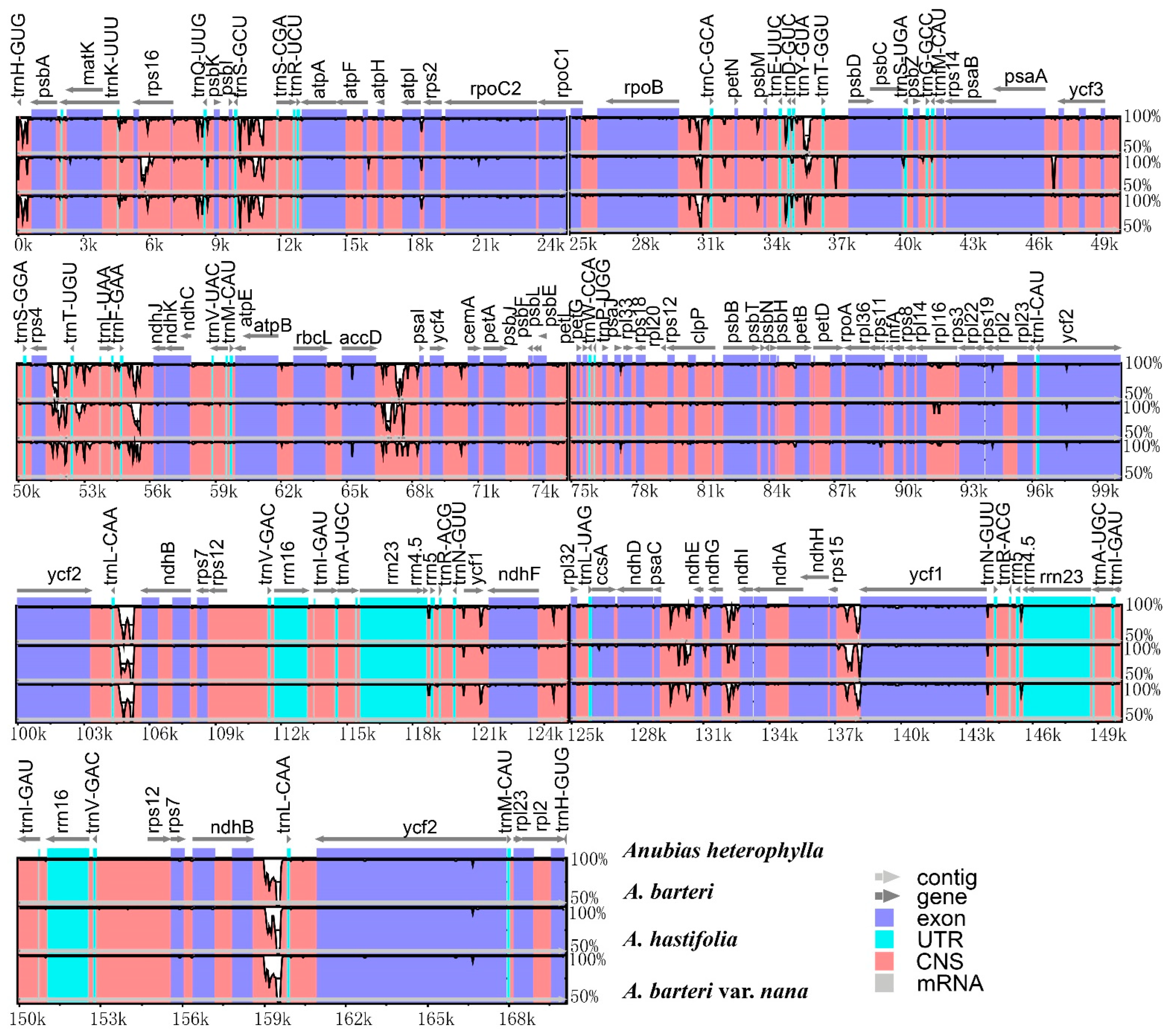 Genes 13 02043 g003 Genes 13 02043 g003