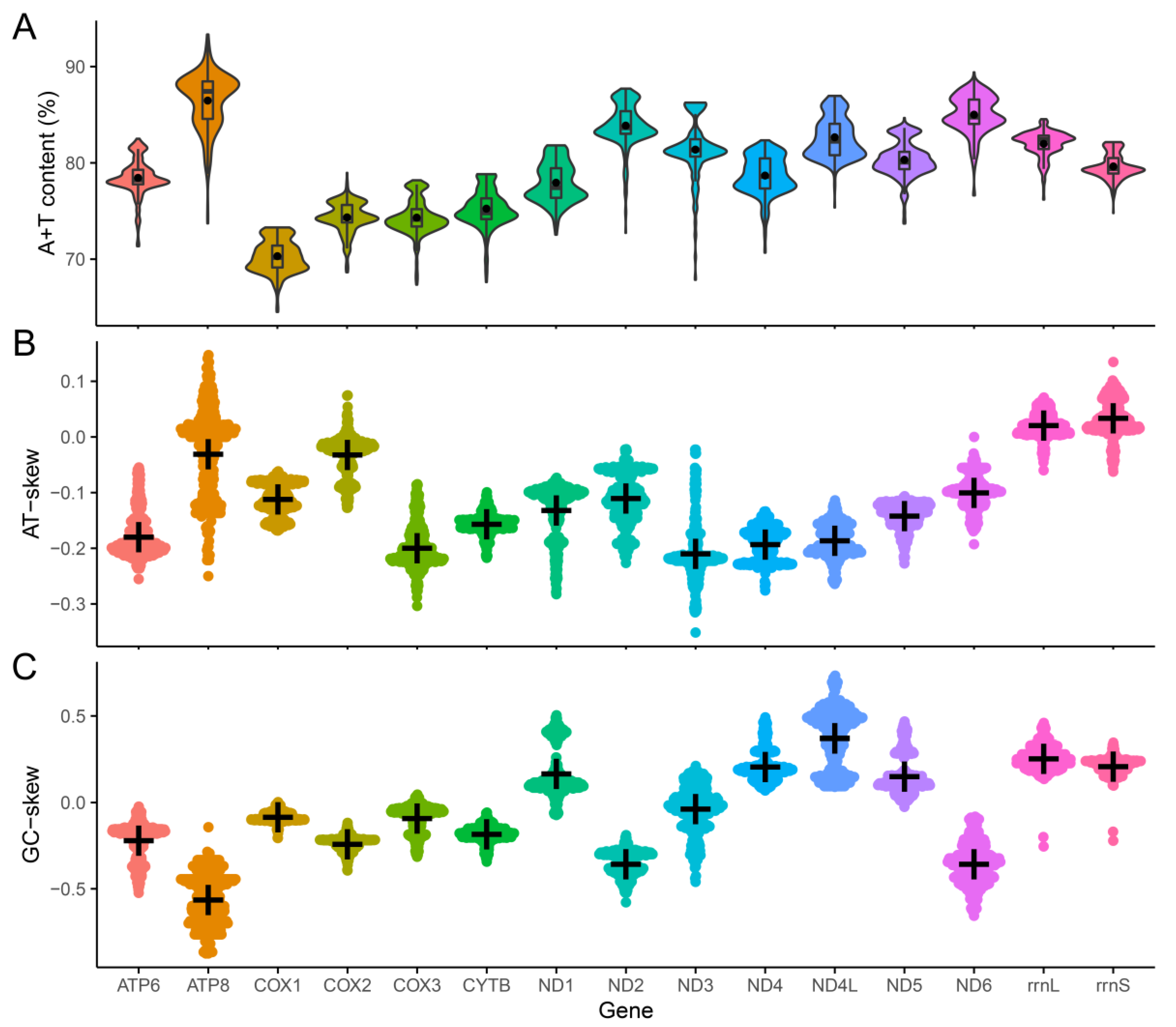 Genes 13 02049 g004 Genes 13 02049 g004