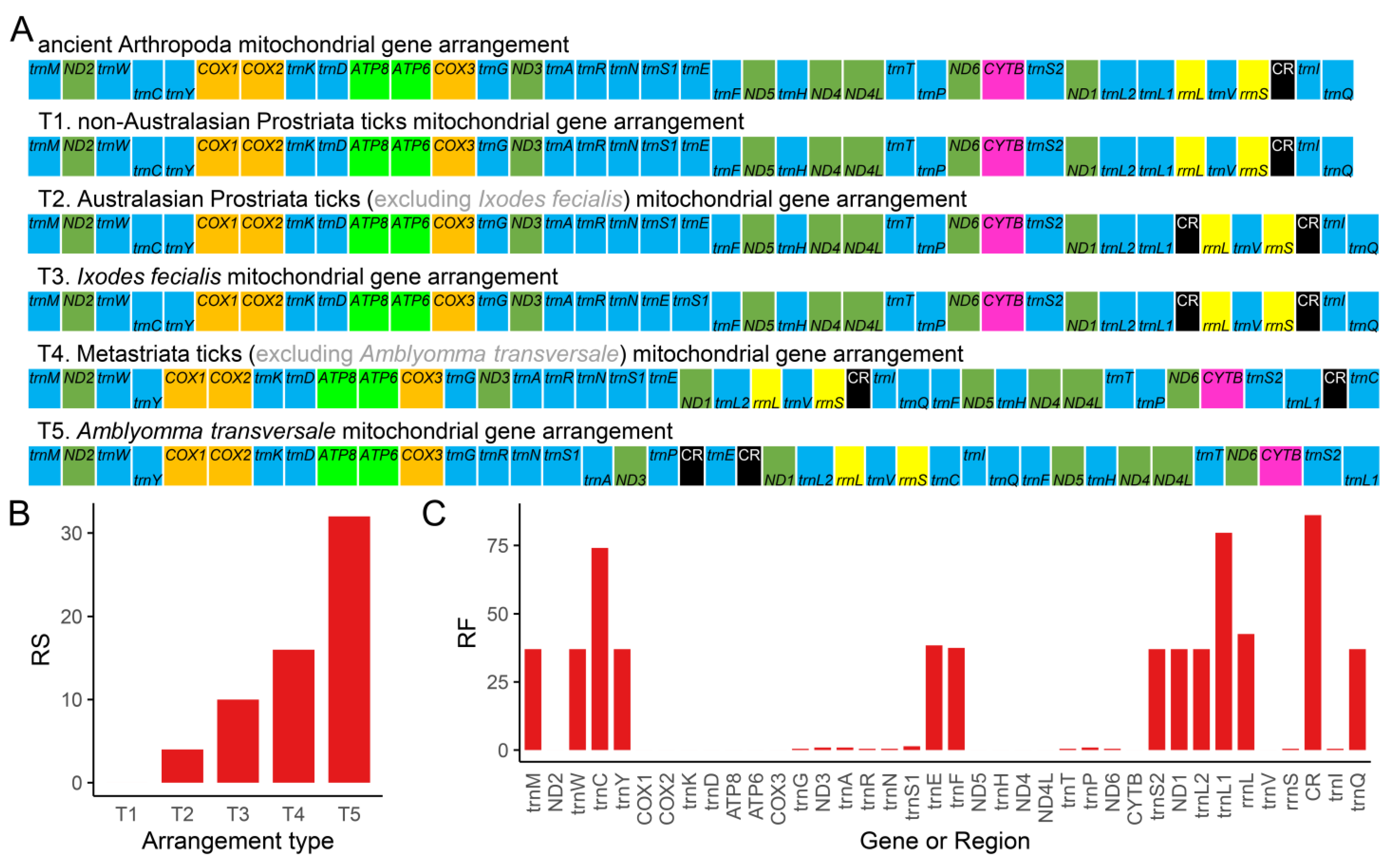 Genes 13 02049 g006 Genes 13 02049 g006