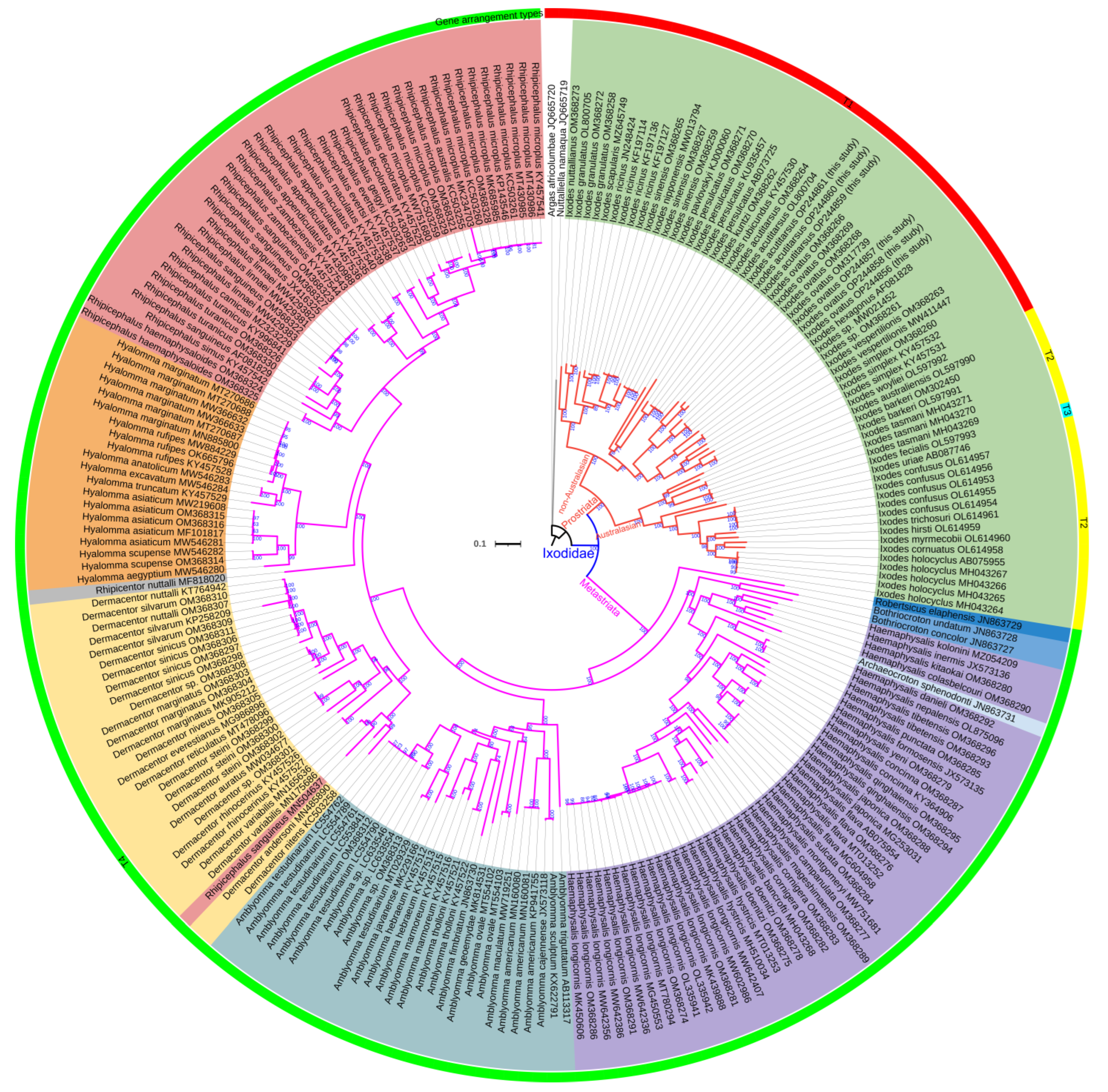 Genes 13 02049 g007 Genes 13 02049 g007