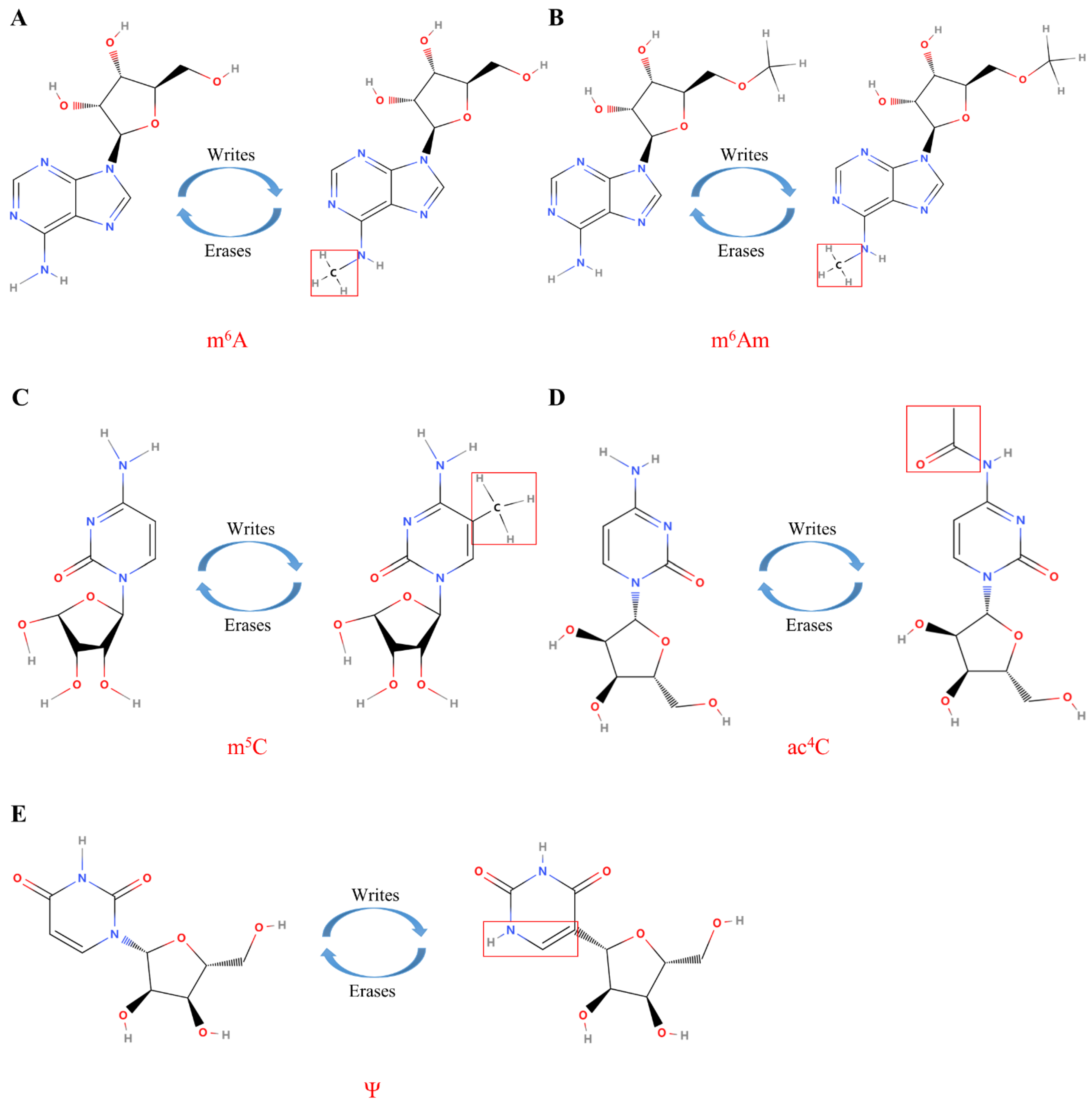 Genes 13 02050 g003 Genes 13 02050 g003
