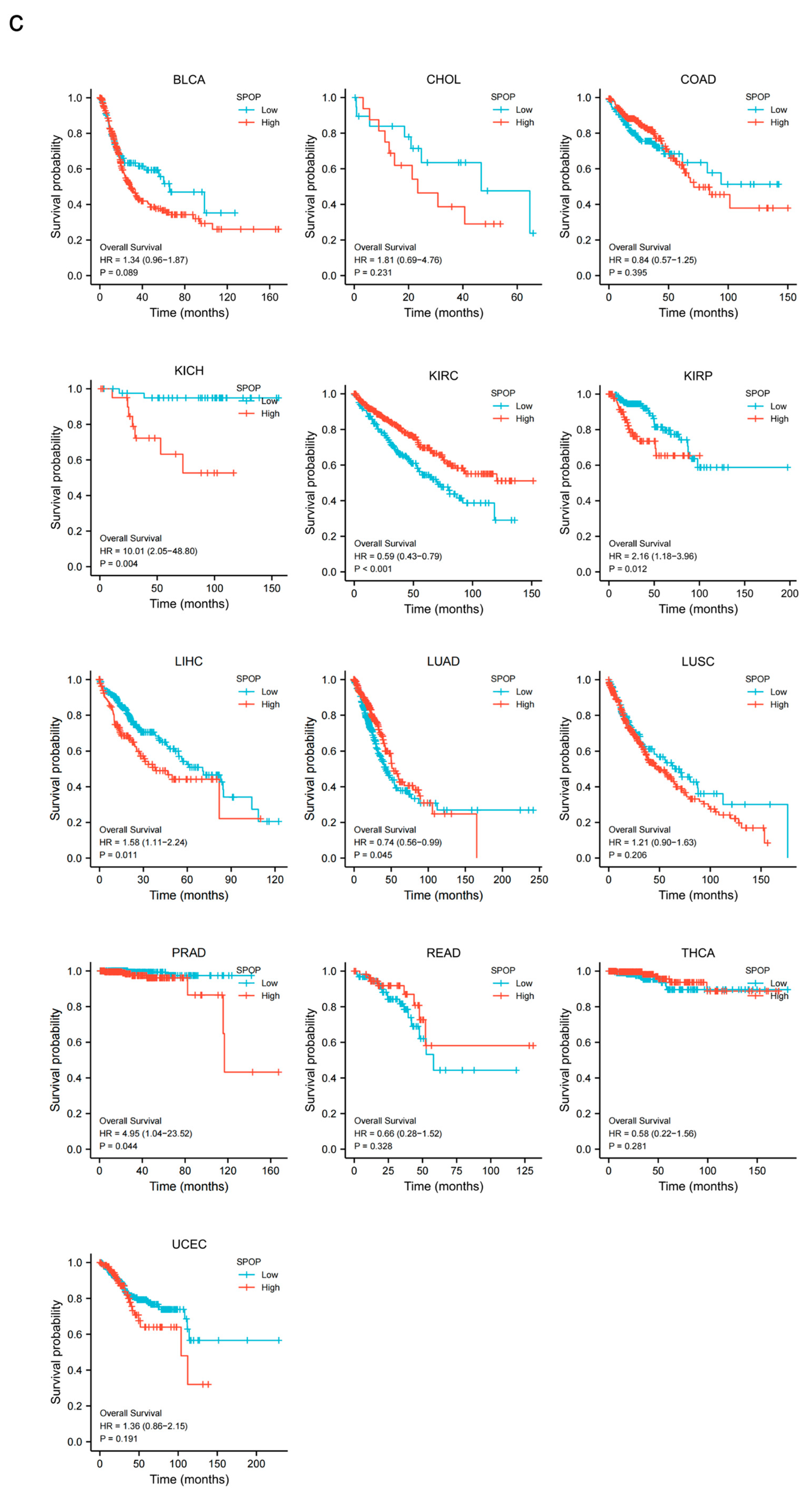 Genes 13 02051 g002b
