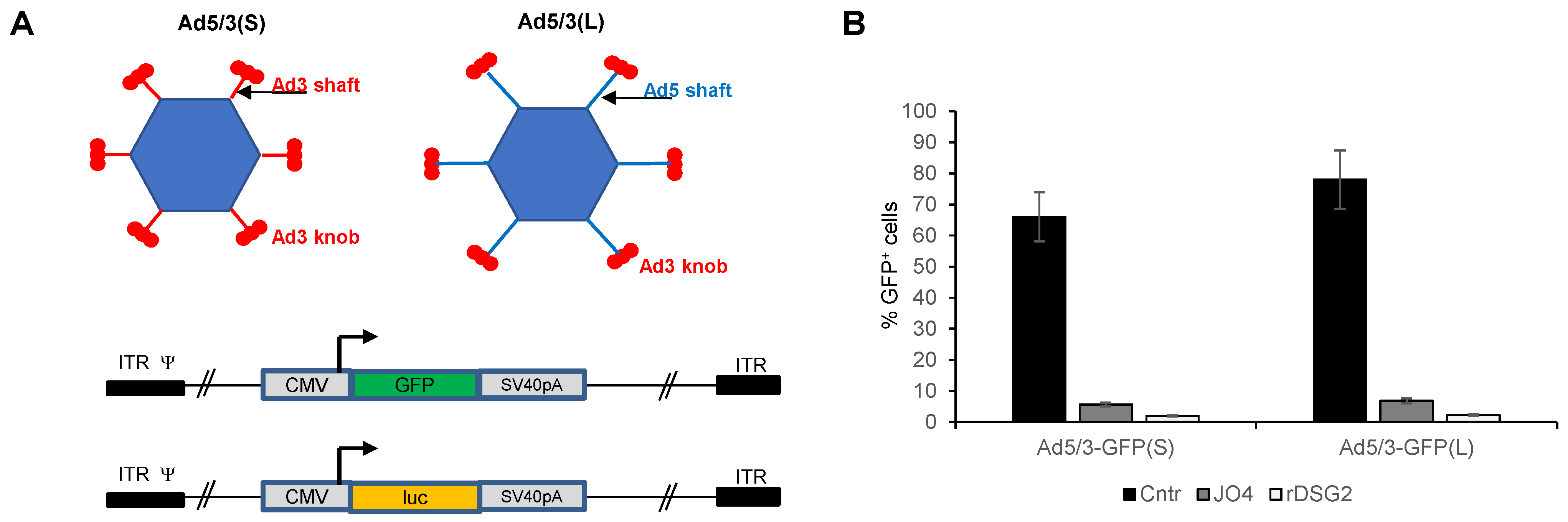 Genes 13 02056 g001 Genes 13 02056 g001