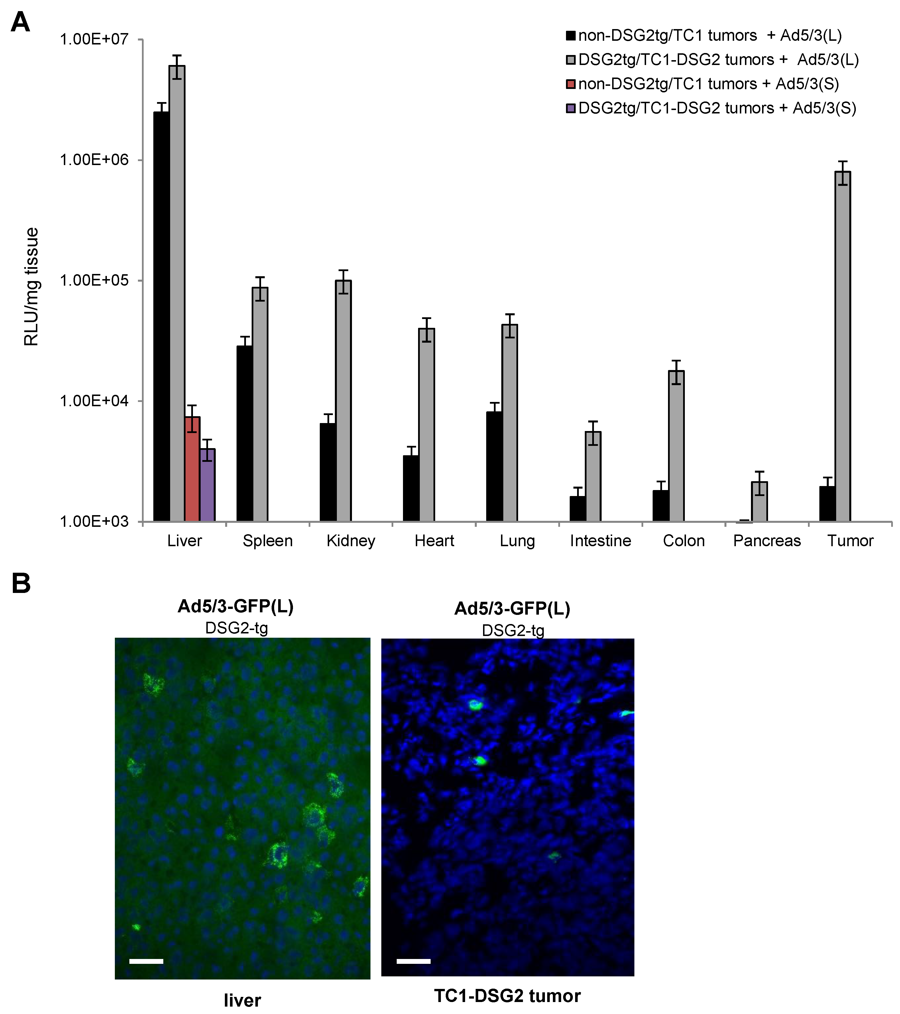 Genes 13 02056 g007 Genes 13 02056 g007