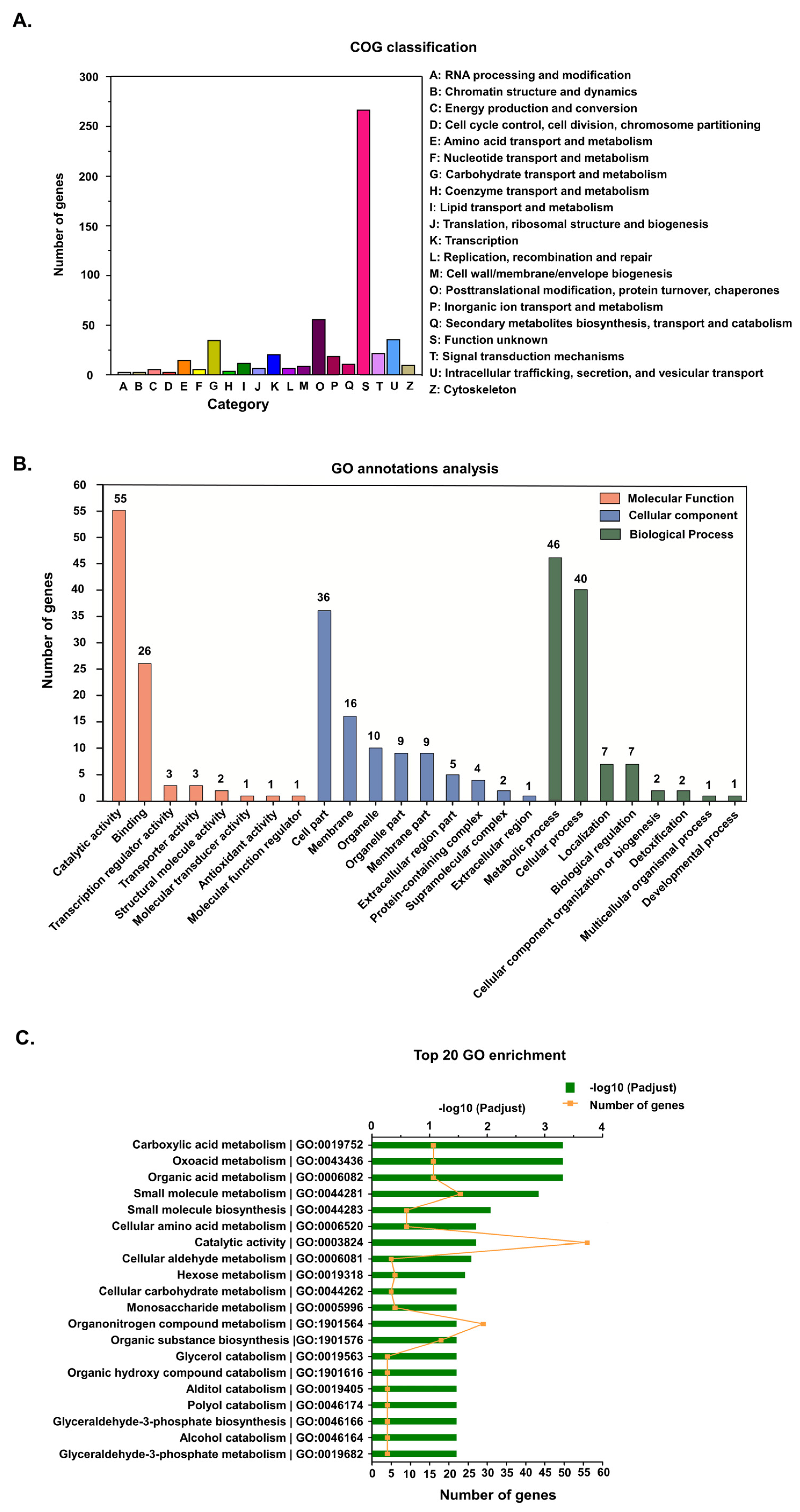 Genes 13 02057 g002 Genes 13 02057 g002