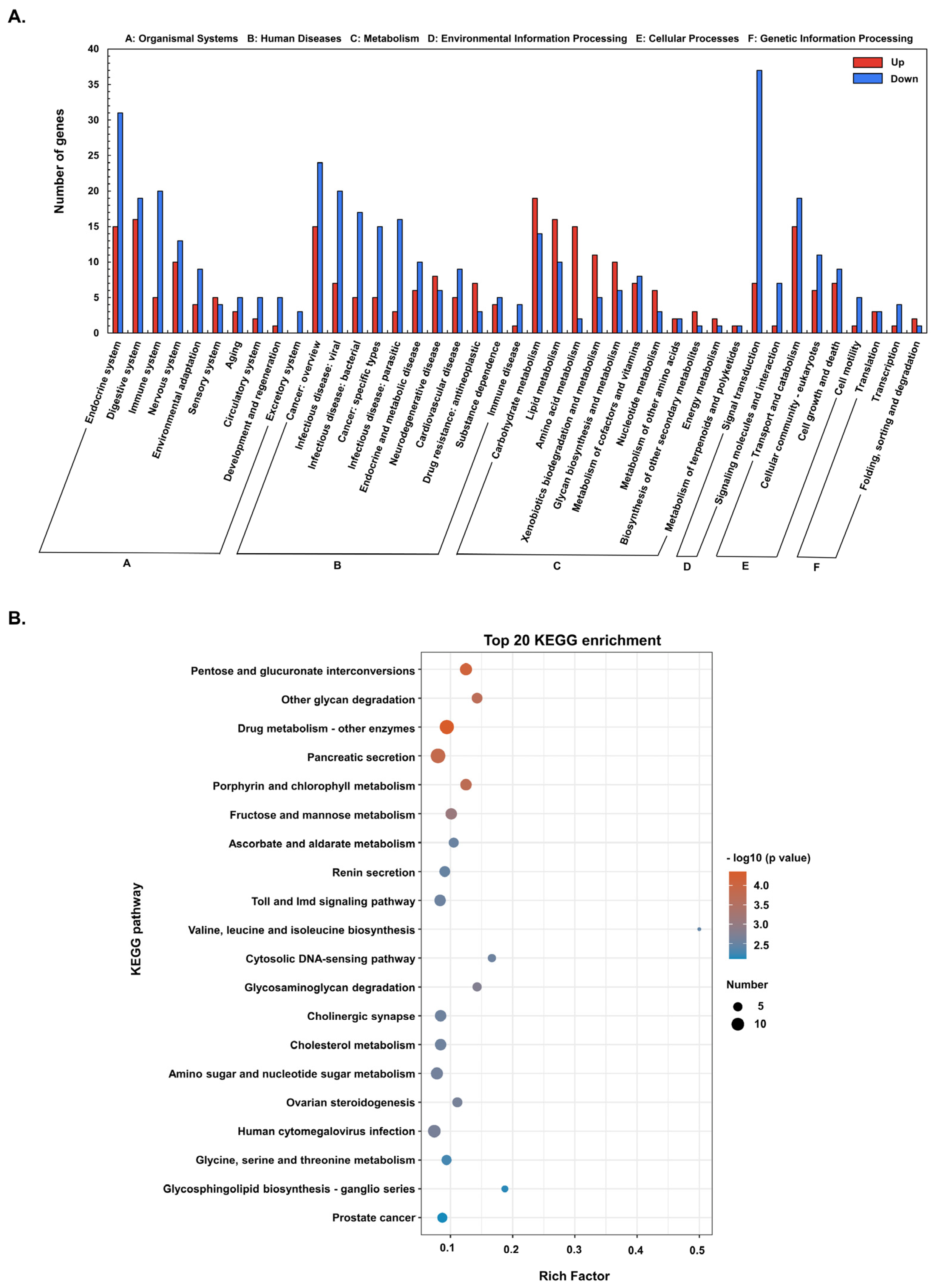 Genes 13 02057 g003 Genes 13 02057 g003