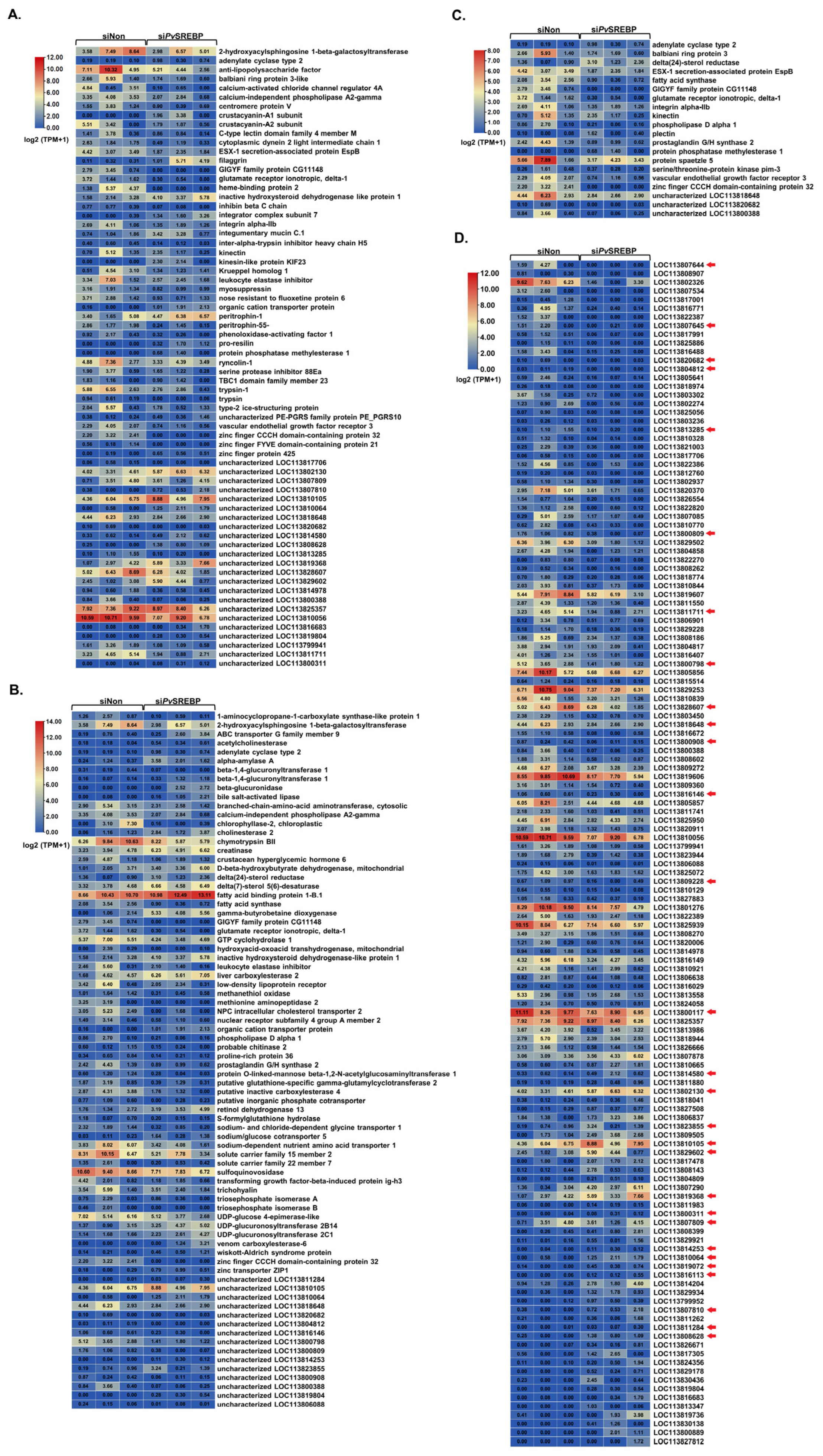 Genes 13 02057 g004 Genes 13 02057 g004