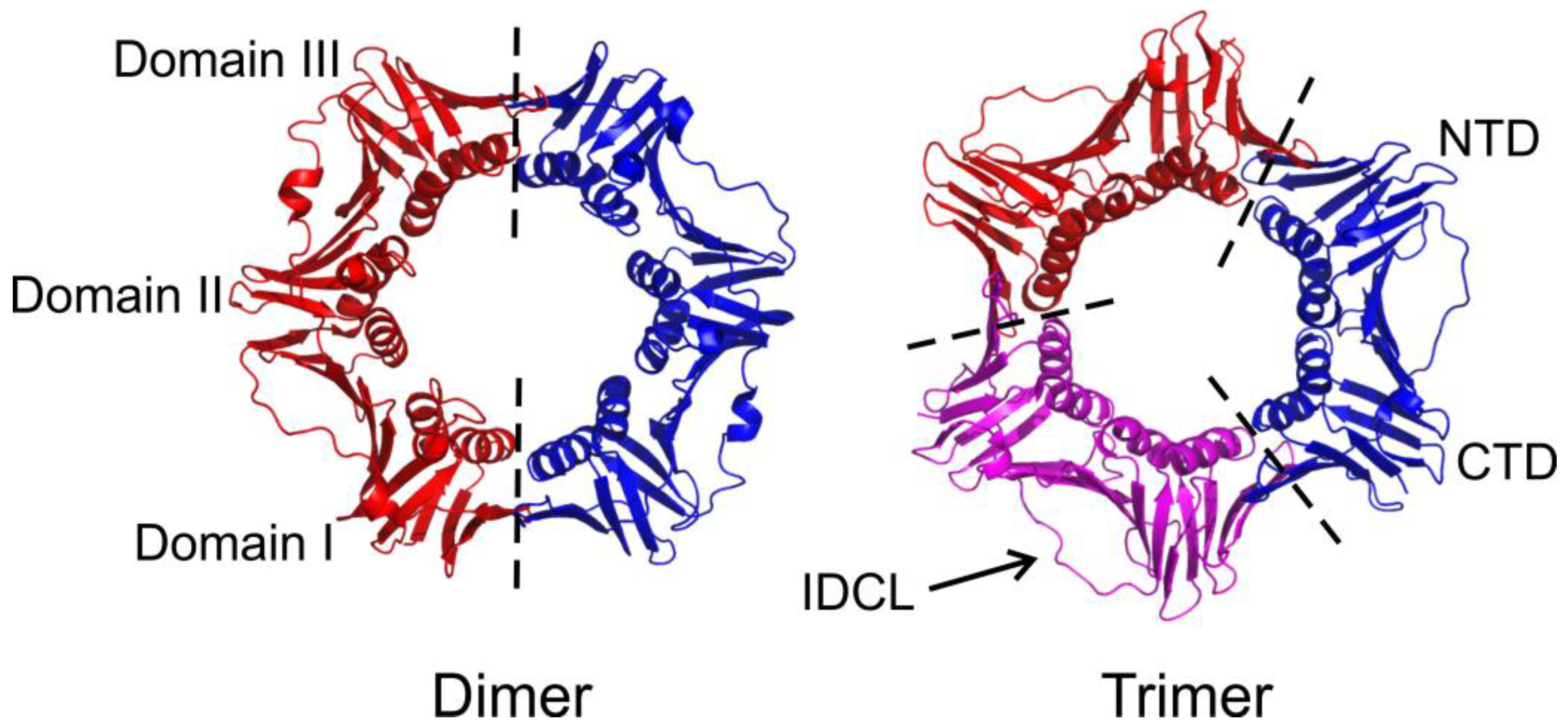 From Processivity to Genome Maintenance: The Many Roles of Sliding 