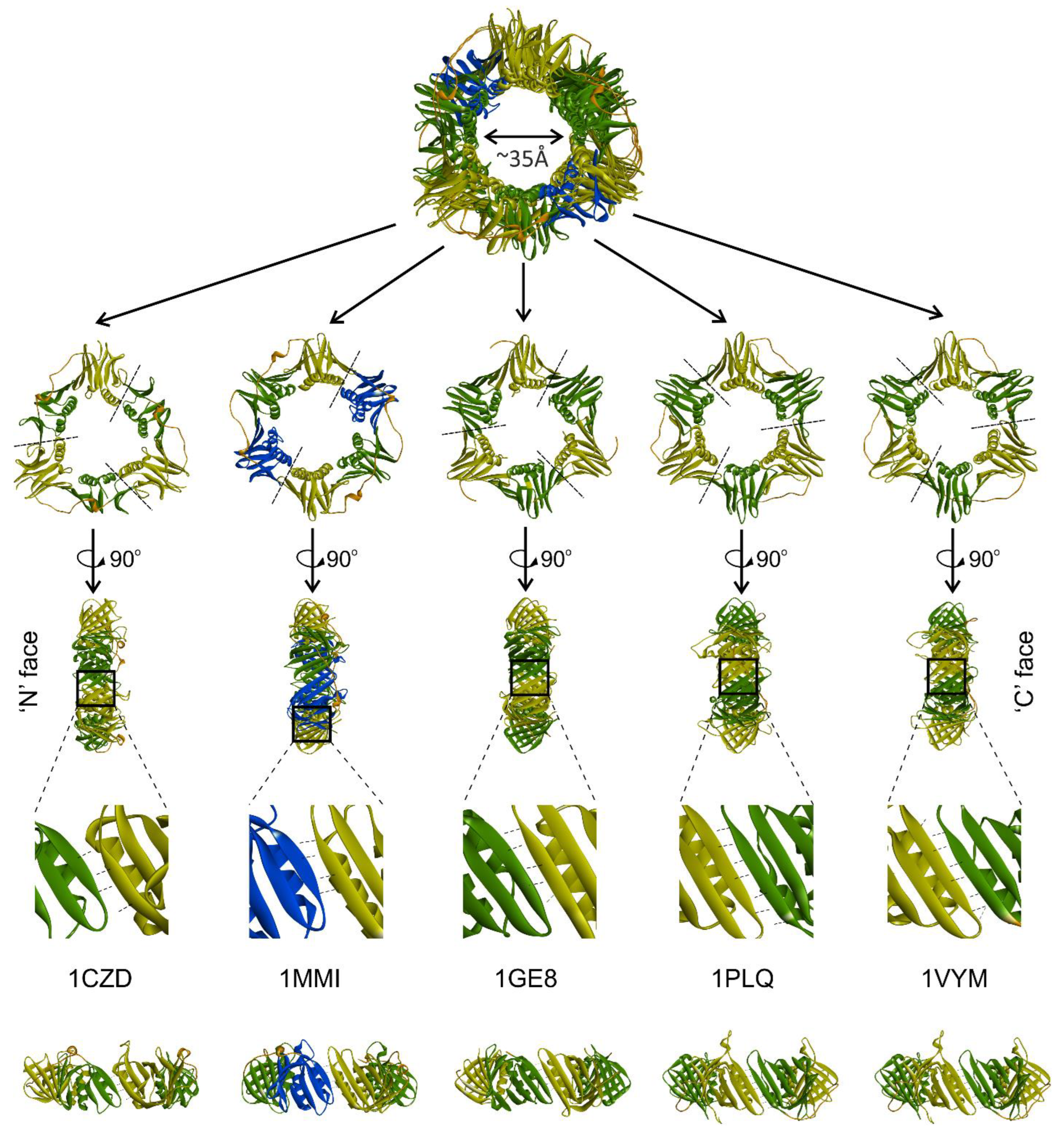Genes 13 02058 g002 Genes 13 02058 g002