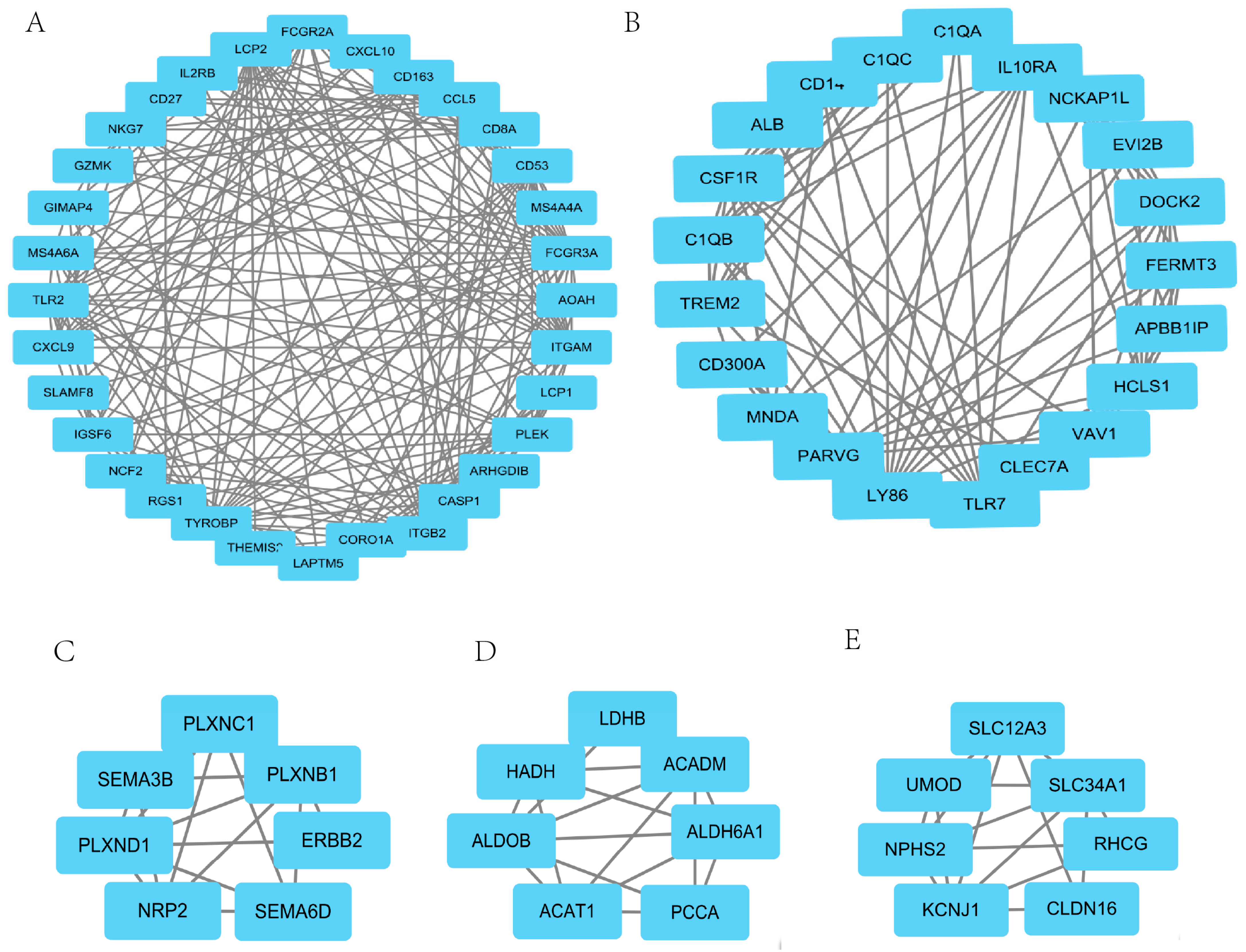 Genes 13 02059 g003 Genes 13 02059 g003