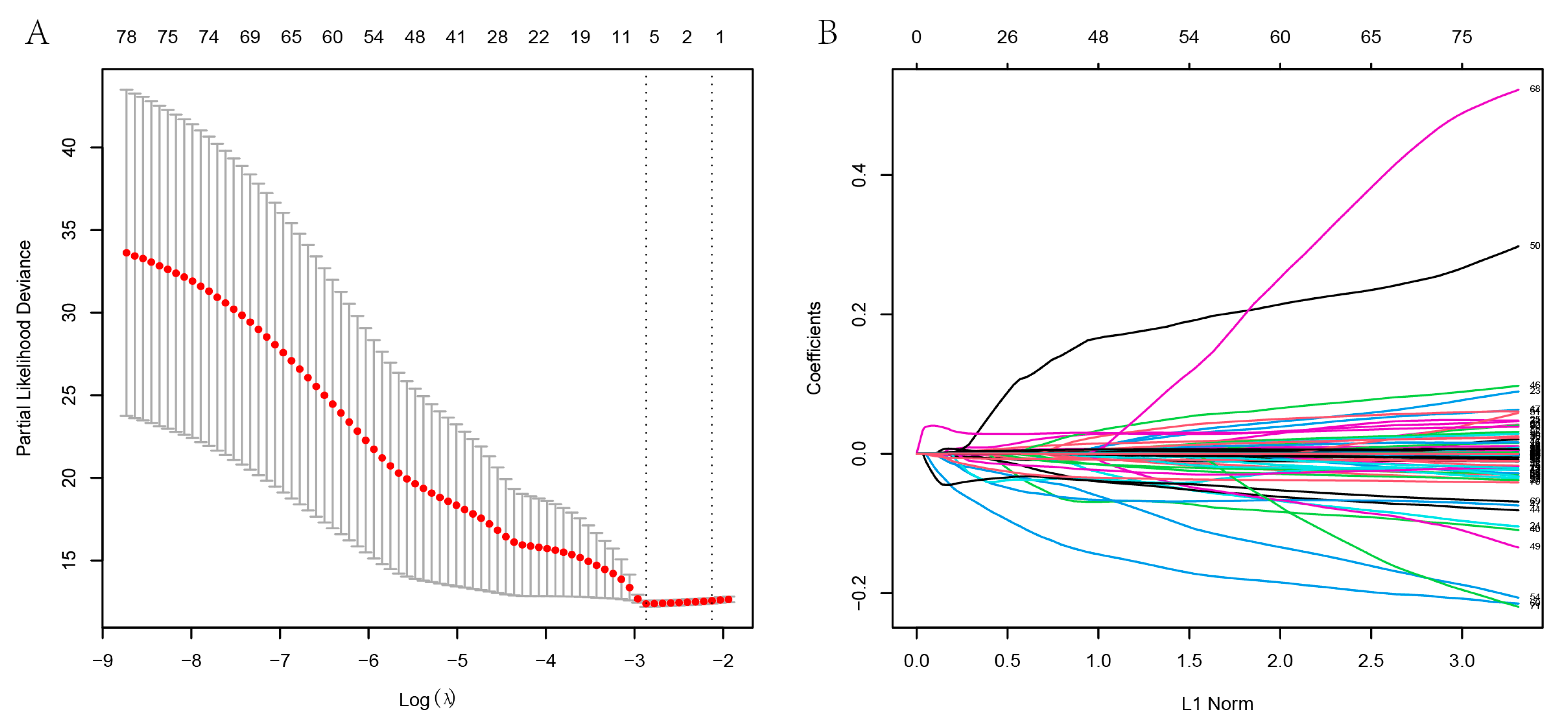 Genes 13 02059 g005 Genes 13 02059 g005