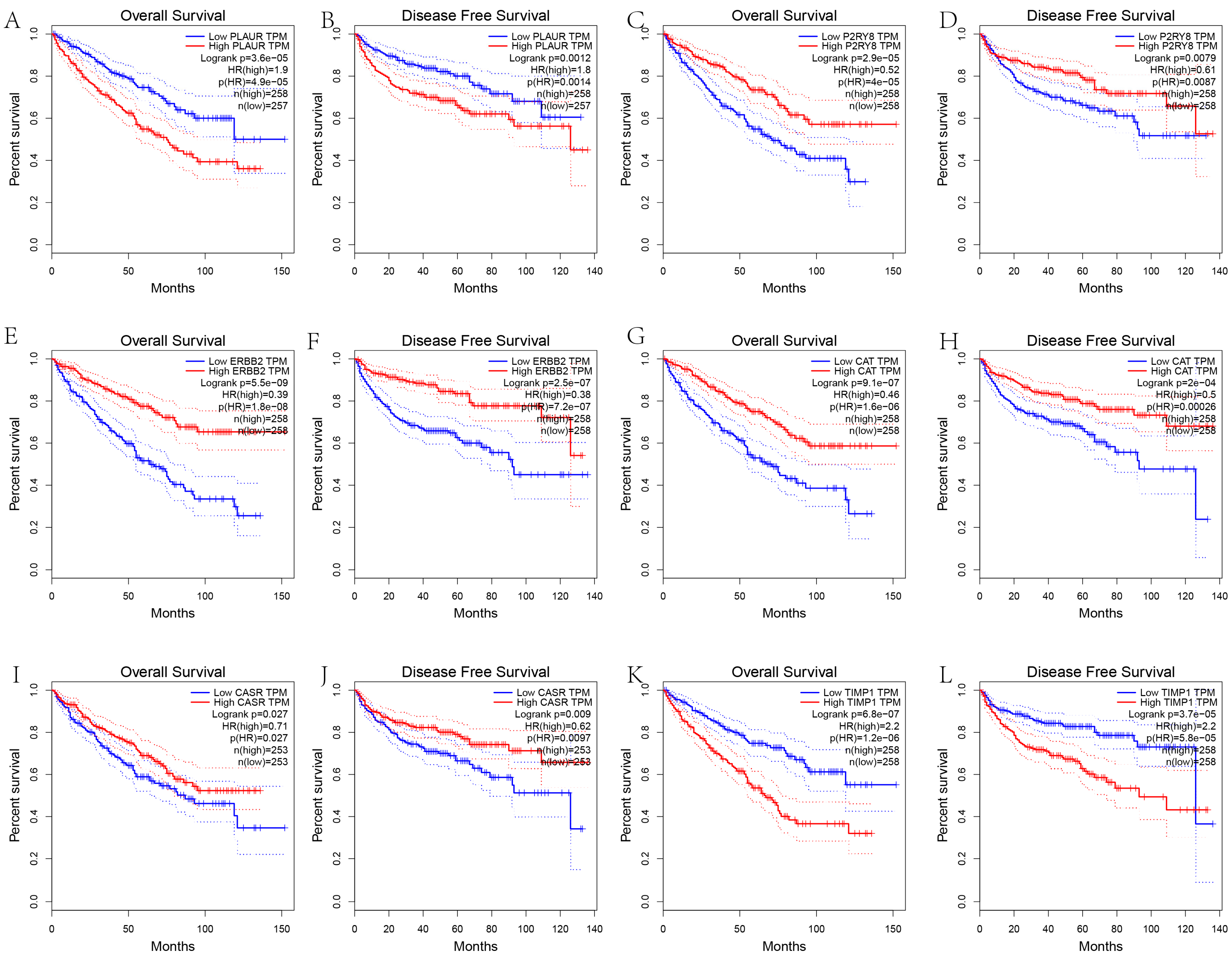 Genes 13 02059 g006 Genes 13 02059 g006