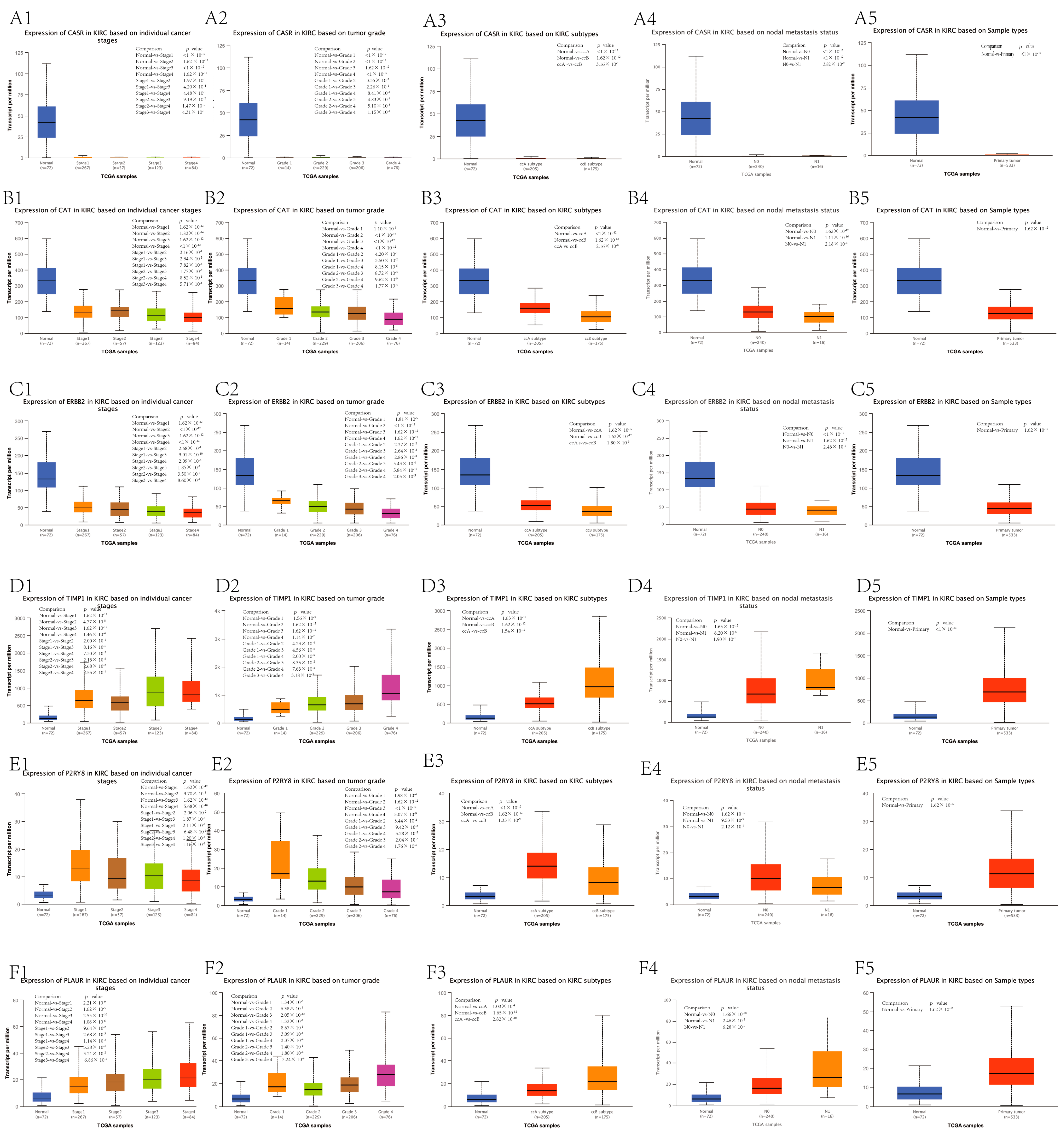 Genes 13 02059 g007 Genes 13 02059 g007
